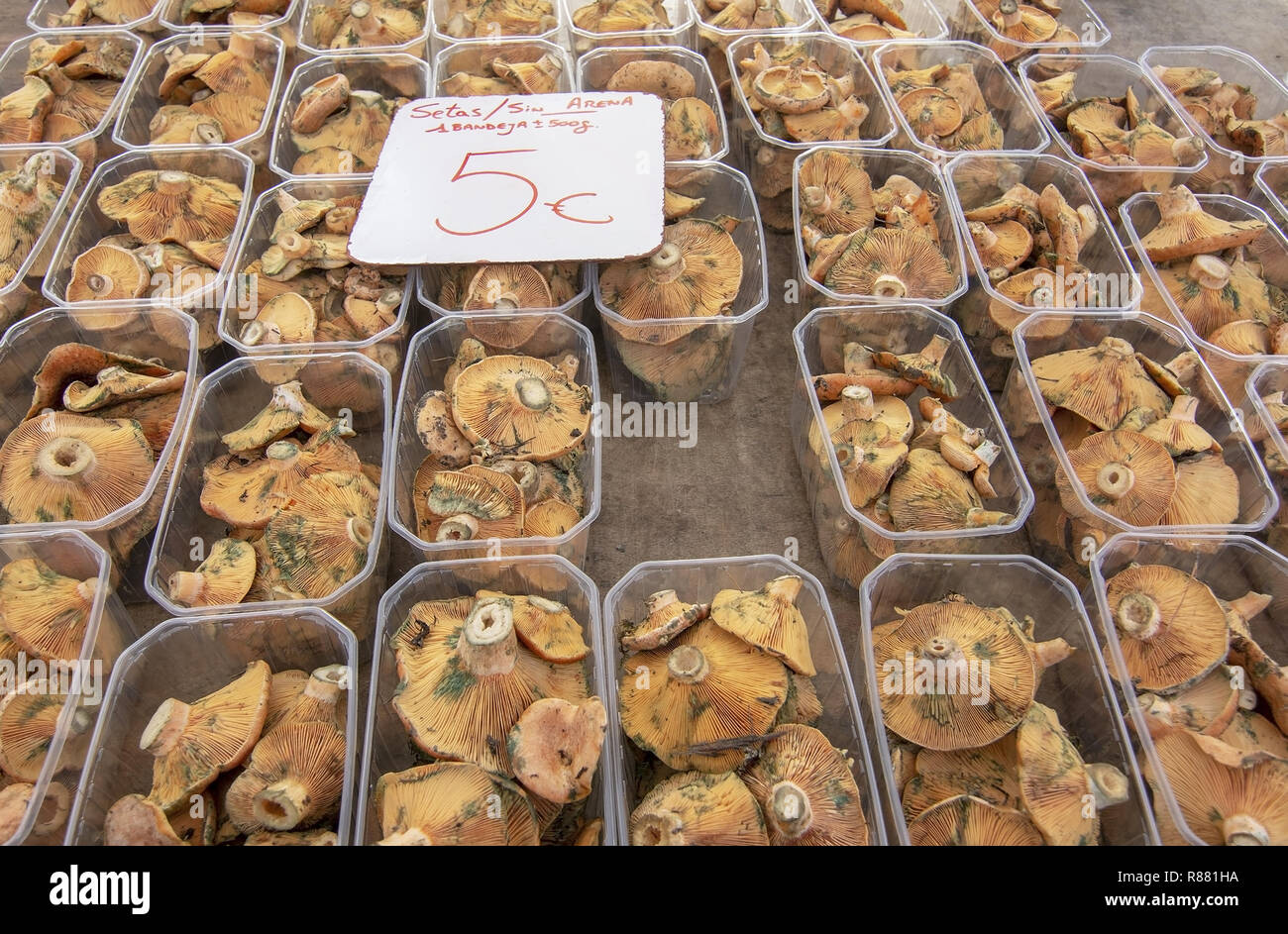 Les champignons sur l'affichage dans un marché d'hiver à Majorque, en Espagne. Banque D'Images