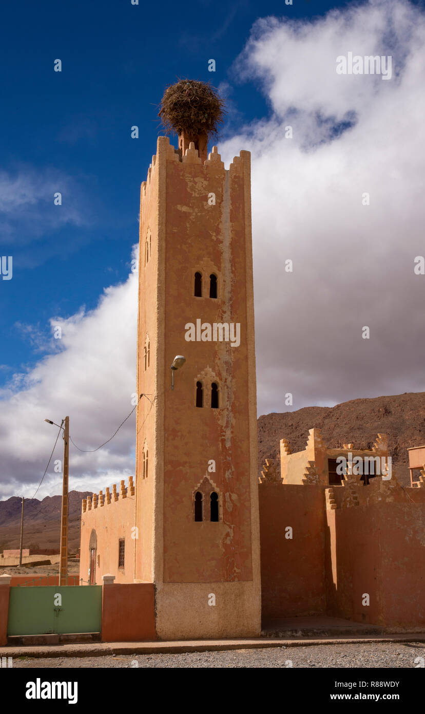 Le Maroc, la Gorge de la rivière de Ziz, Guers Tiallaline, cigognes nichent sur haut de mosquée minaret Banque D'Images