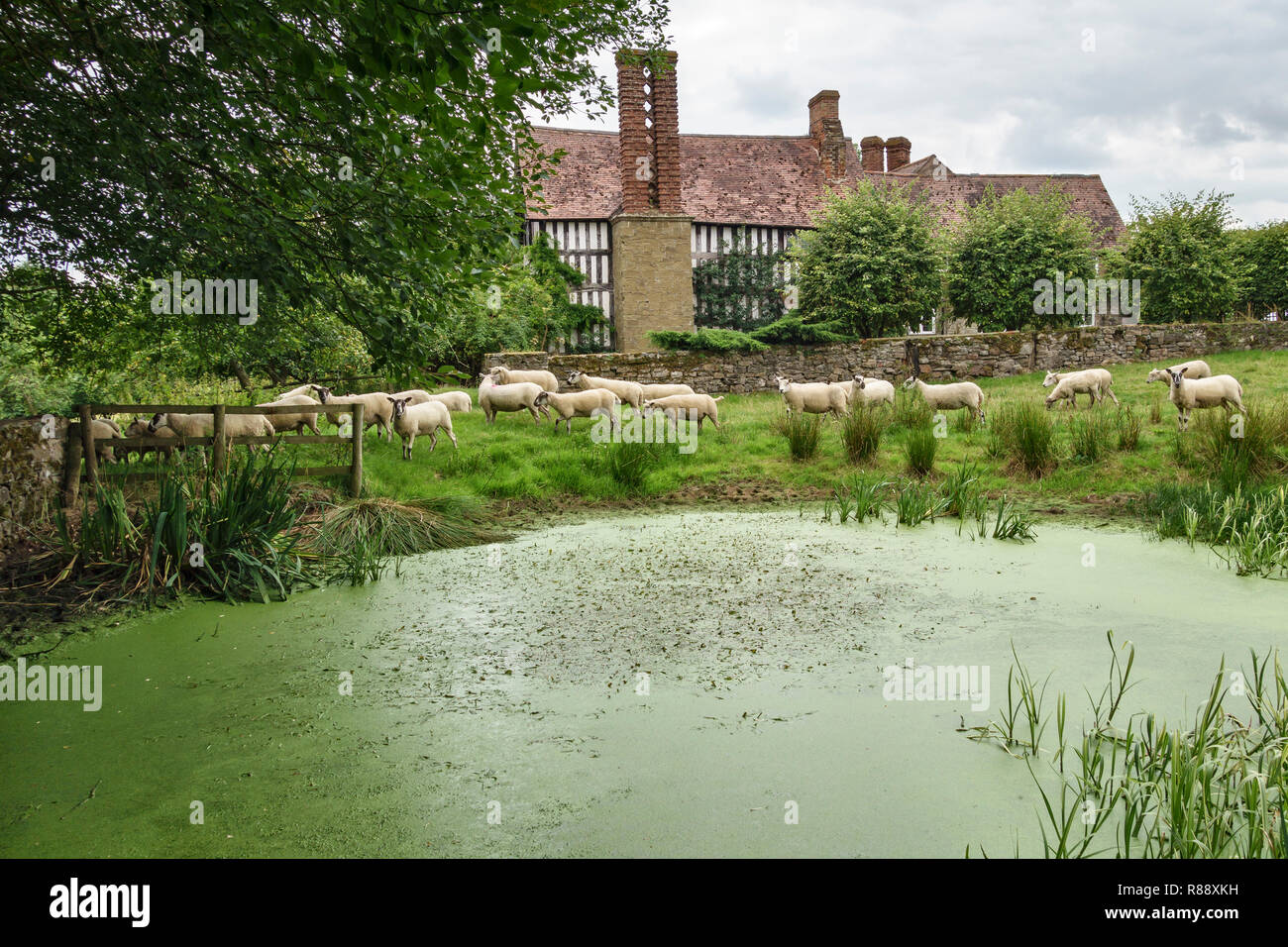 Abcott Manor, Clungunford, Shropshire, au Royaume-Uni. Un xvie siècle typique à pans de bois de manoir anglais, à la campagne Banque D'Images