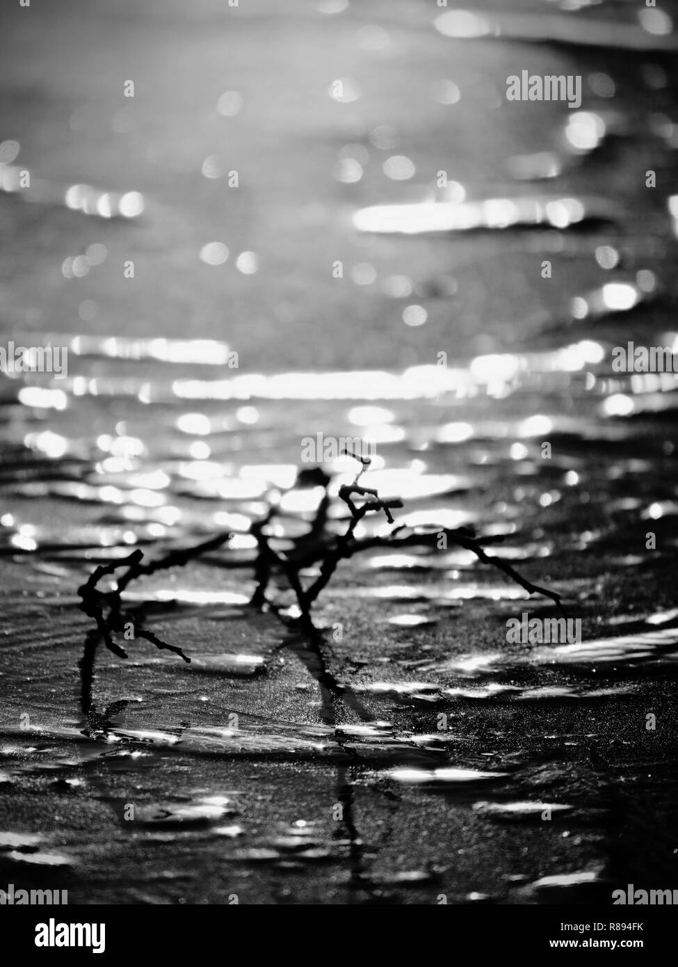 Réflexions de Nice et l'arrondi en reflétant la glace mince sur lac de montagne. Banque D'Images