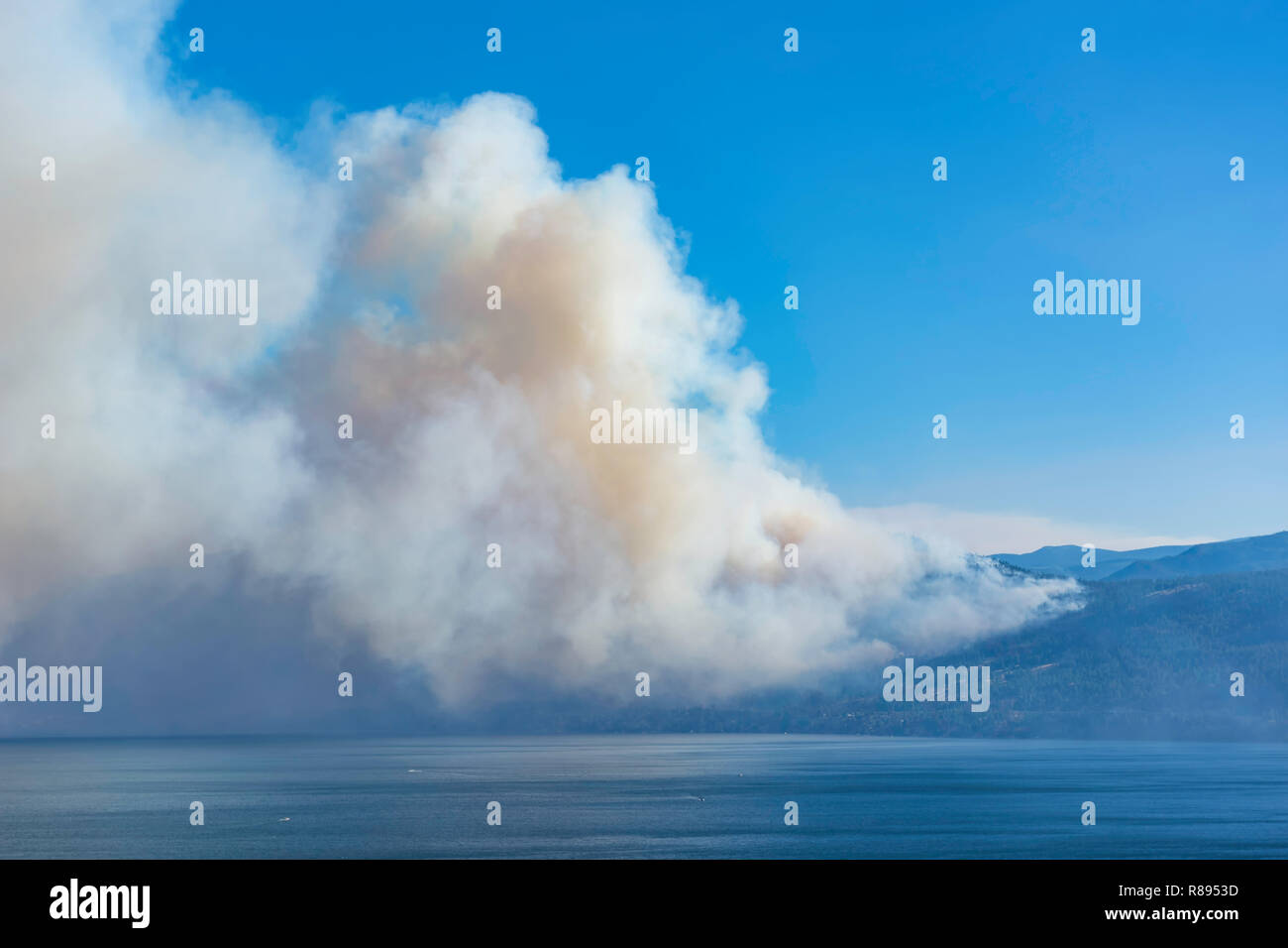 La fumée d'un incendie de forêt près de Pearchland British Columbia Canada Banque D'Images