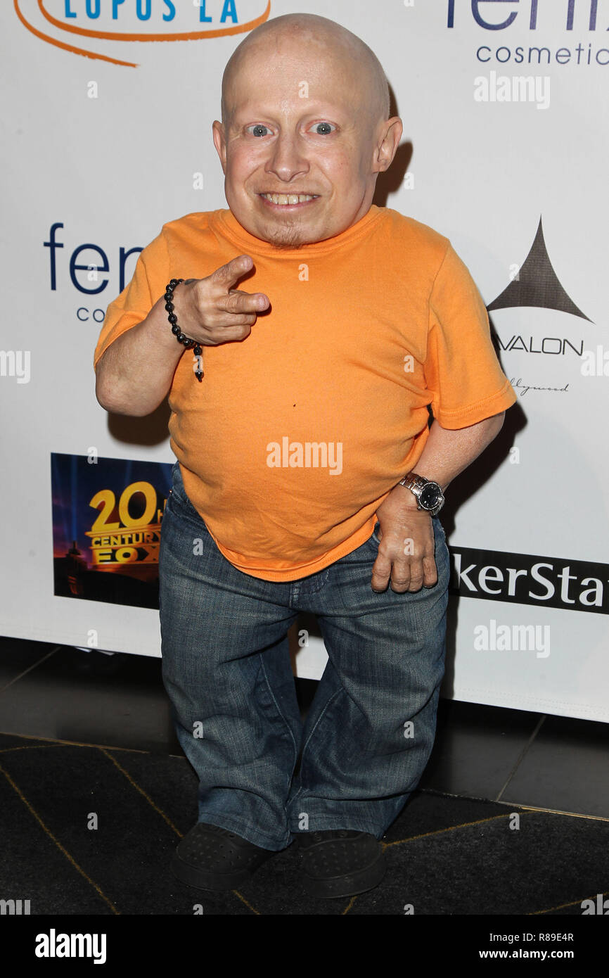 (Dossier) la mort de Verne Troyer suicide par intoxication par l'alcool. Verne Troyer, mieux connu pour son rôle de Mike Myers sidekick comique 'Mini-moi' dans la 'Austin Powers' film franchise, est décédé en avril dernier de suicide par intoxication par l'alcool, le coroner du comté de Los Angeles, a rapporté mercredi. Troyer avait un niveau d'alcool potentiellement mortelle dans son système et a dit à maintes reprises qu'il voulait mourir lorsqu'il a été admis dans un hôpital de Los Angeles le 3 avril, selon le rapport du coroner. Il y meurt le 21 avril d'une défaillance polyviscérale. HOLLYWOOD, LOS ANGELES, CA, USA - 18 SEPTEMBRE : Acto Banque D'Images