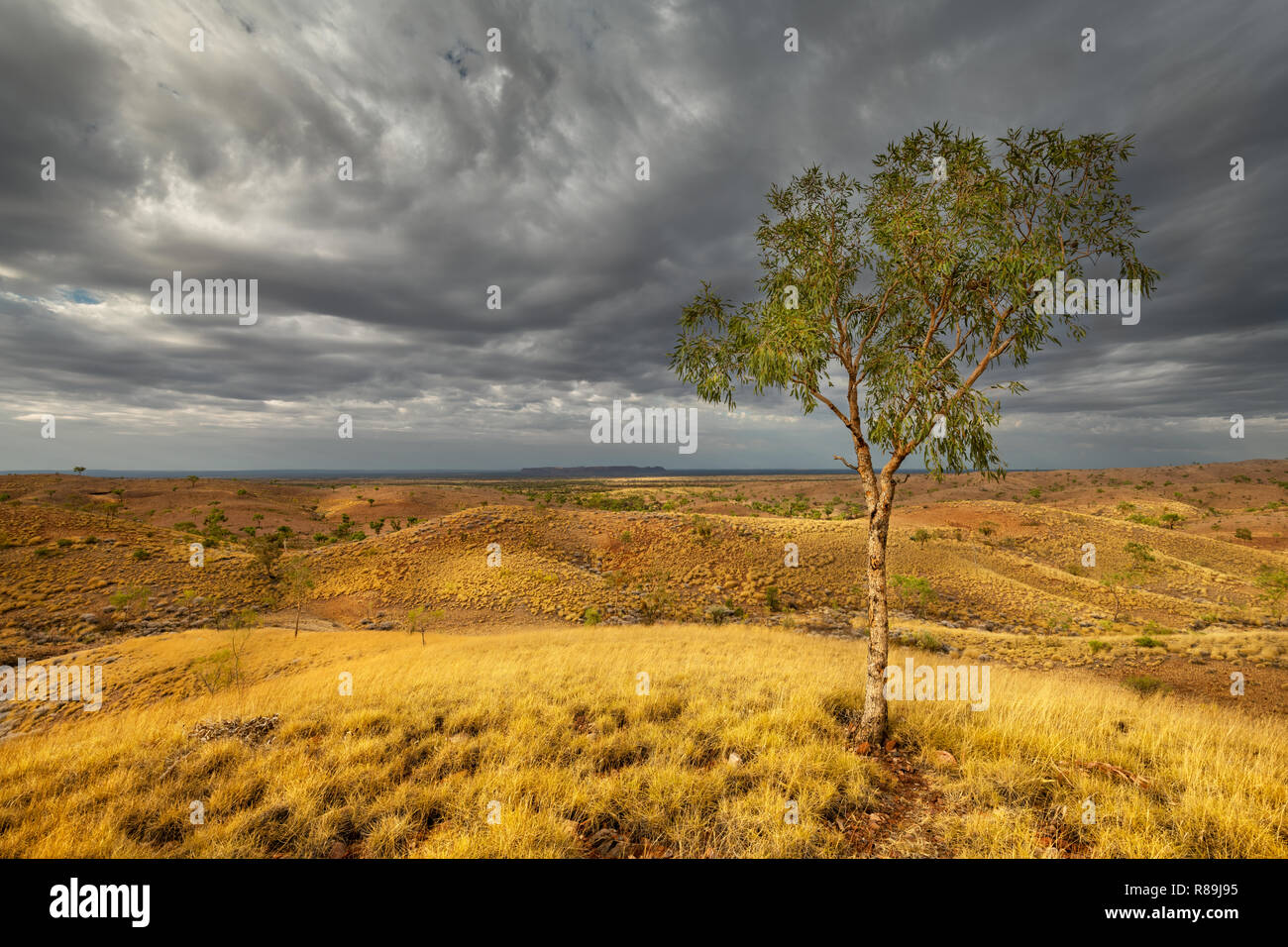 Tylers Col et Tnorala (Gosse Bluff) sous les nuages sombres. Banque D'Images