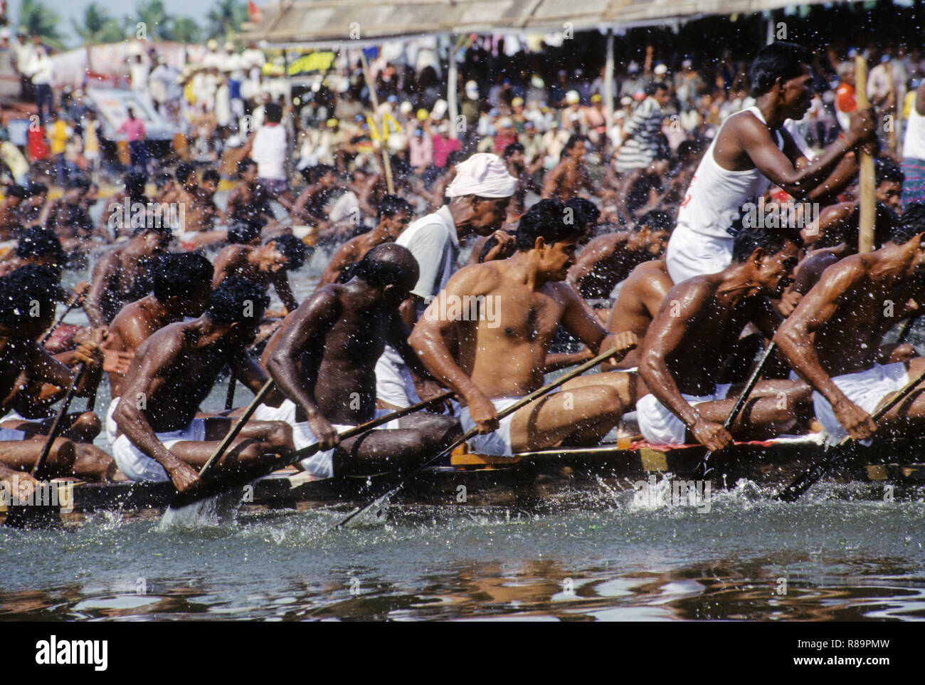 Courses de bateaux serpents, Peyipad, Kerala, Inde Banque D'Images
