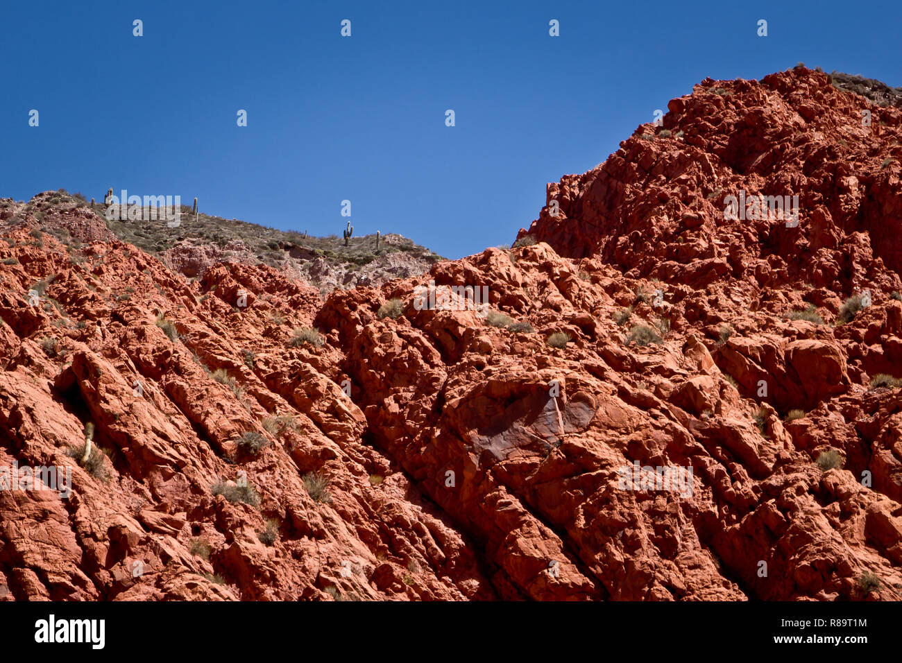 Roches rouges dans les montagnes des Andes, Argentine Banque D'Images