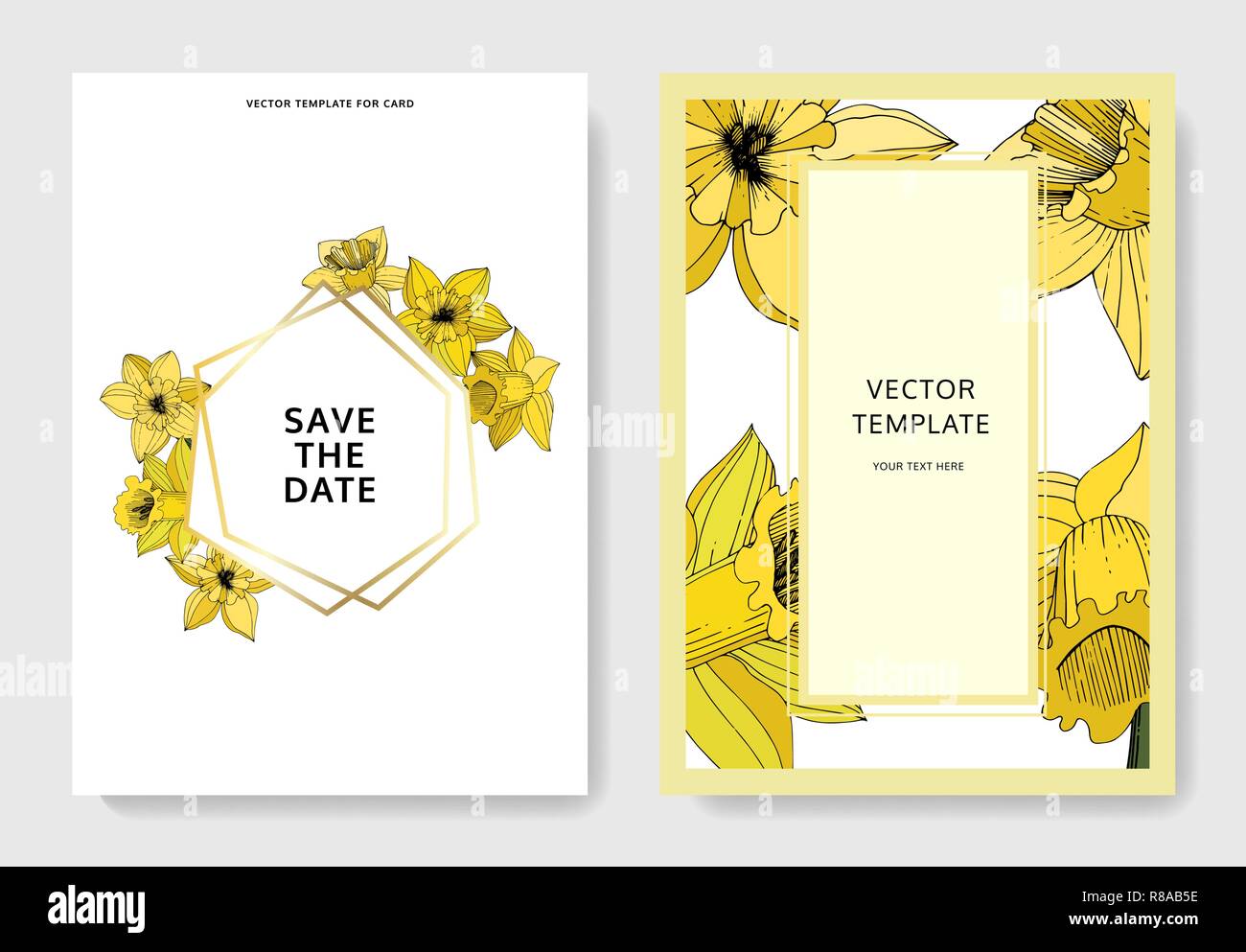 Vector Narcisse Fond Carte Mariage Floral Bordure Decorative L Encre Jaune Grave Art Merci Rsvp Invitation Carte Elegante Illustration Gra Image Vectorielle Stock Alamy