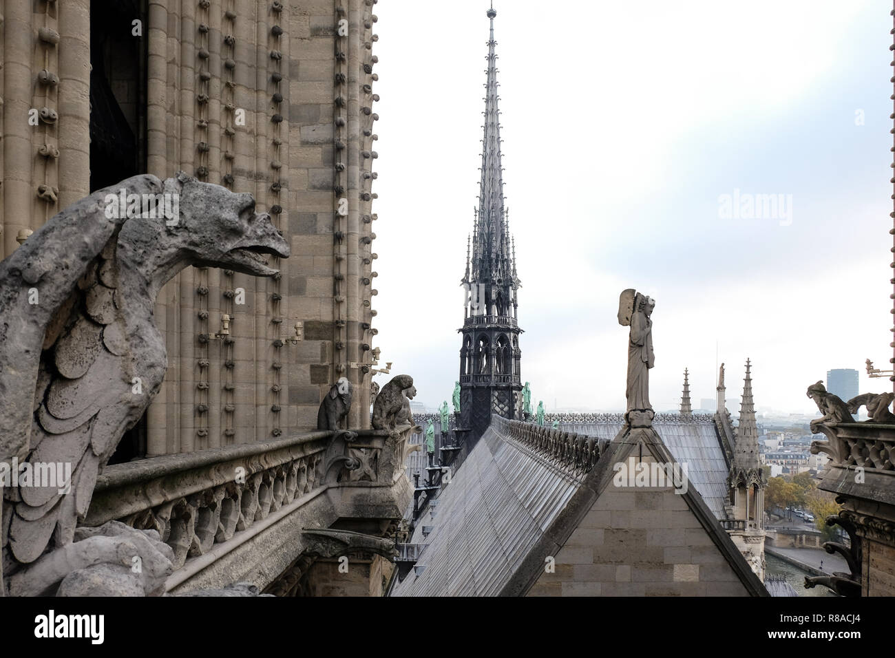 Chimères (gargouilles) de la Cathédrale Notre Dame de Paris surplombant Paris, France Banque D'Images