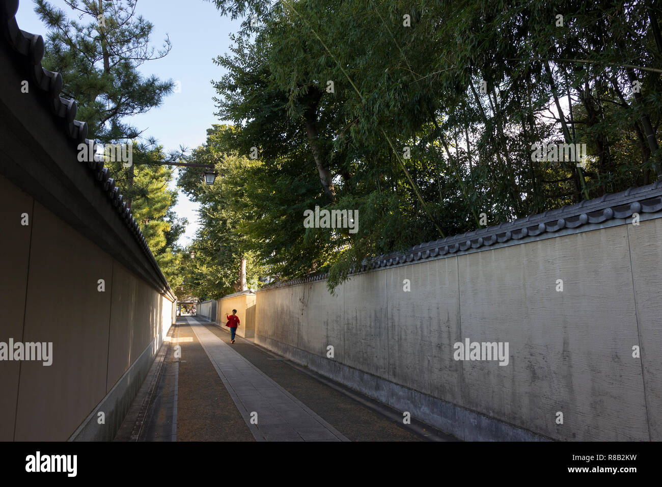 Fukuoka, Japon - 20 octobre 2018 : chemin à travers les parois Shofukuji temple avec de gros bambous derrière elle Banque D'Images