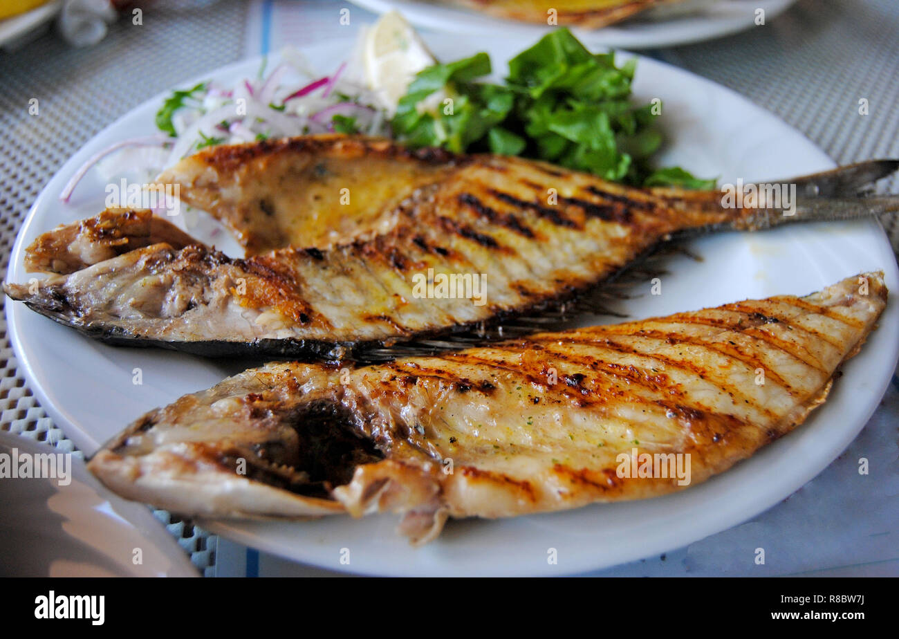 Assiette de poisson daurade en Turquie. Banque D'Images