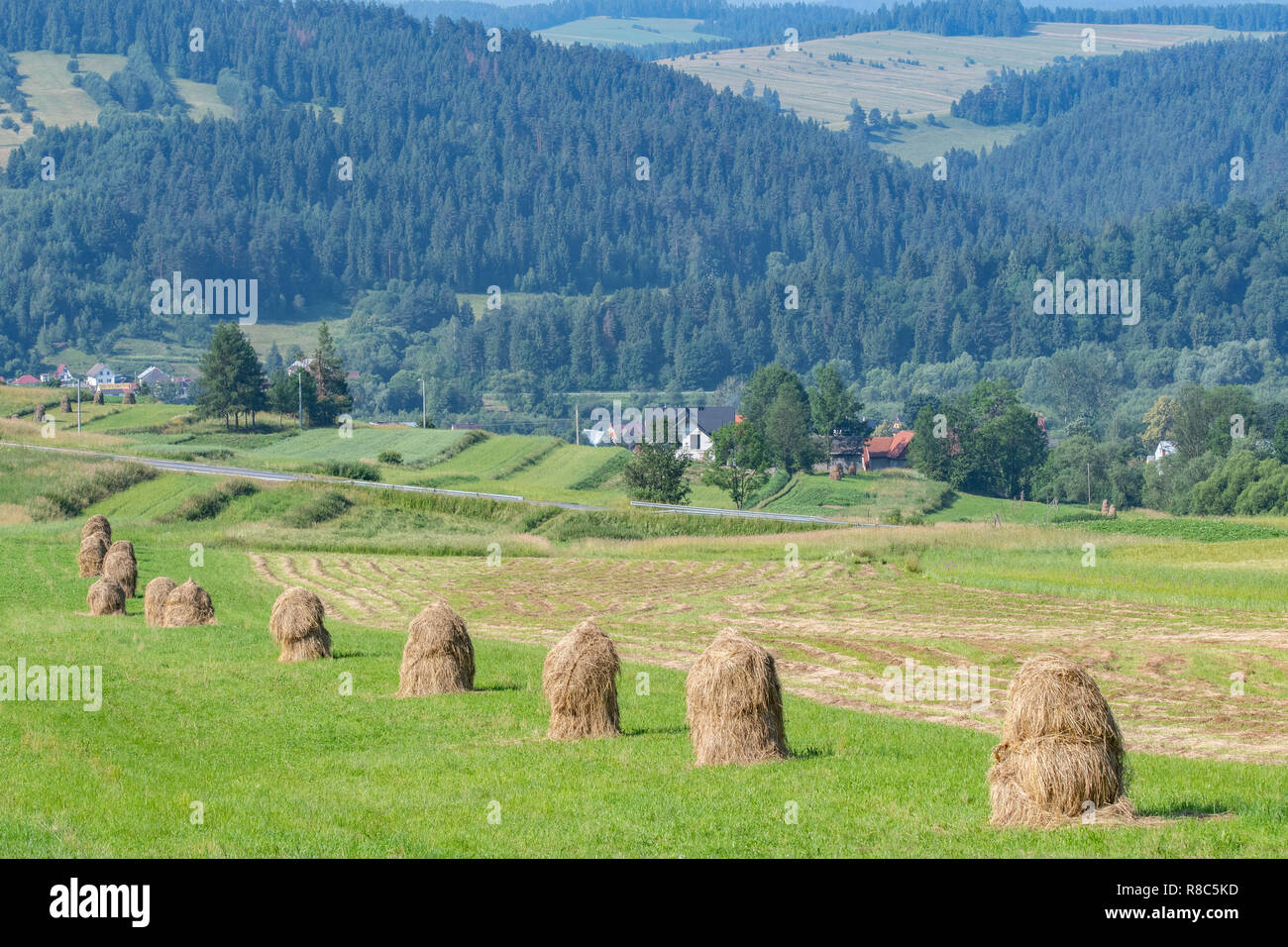 Meules de sécher au soleil dans la région de Niedzica, Malopolskie, Pologne. Banque D'Images
