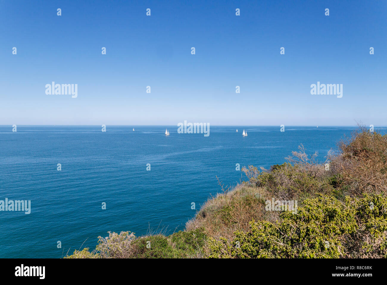 France, Pyrénées Orientales, Collioure, Côte Vermeille, vue du littoral chemin // France, Pyrénées-Orientales (66), la Côte Vermeille, Collioure, vu Banque D'Images
