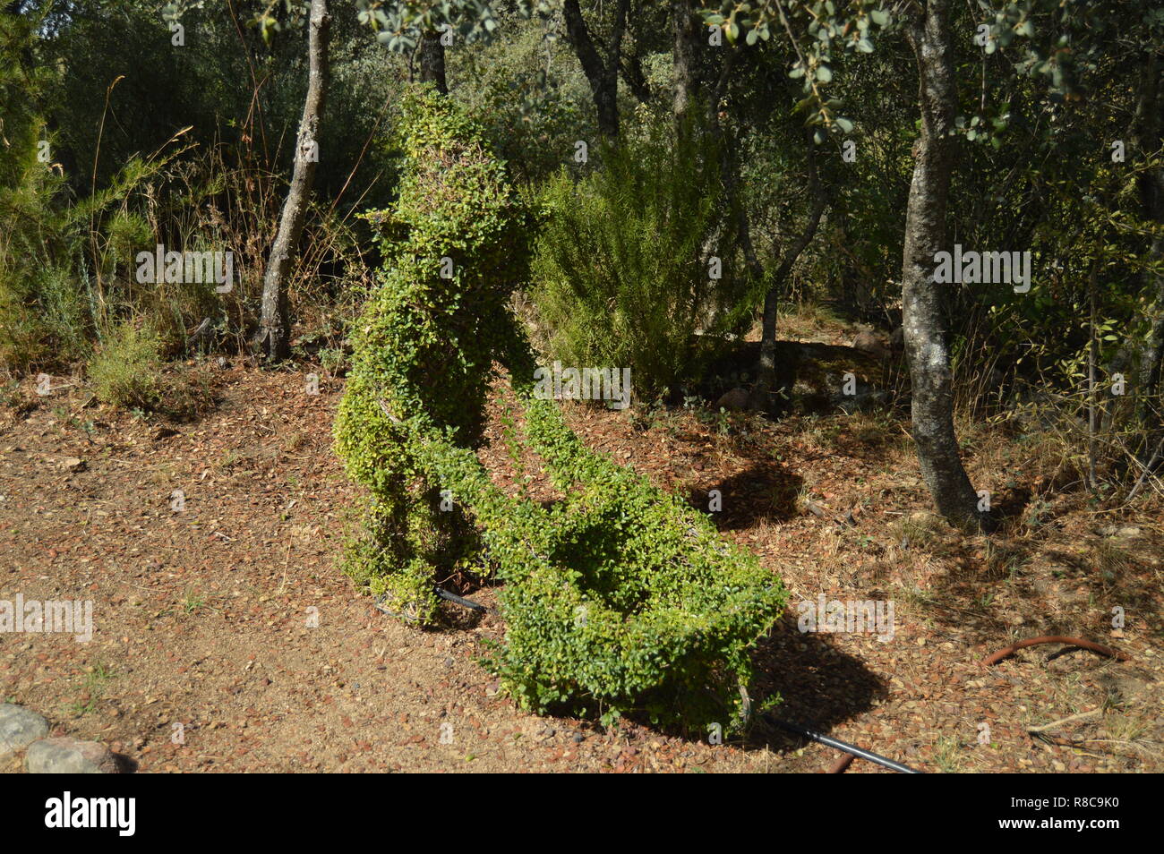 Nain avec sa brouette recréé dans la sculpture. 14 novembre, 2018. Madrid. L'Espagne. La nature, les voyages, les paysages, l'Art Topiaire Banque D'Images