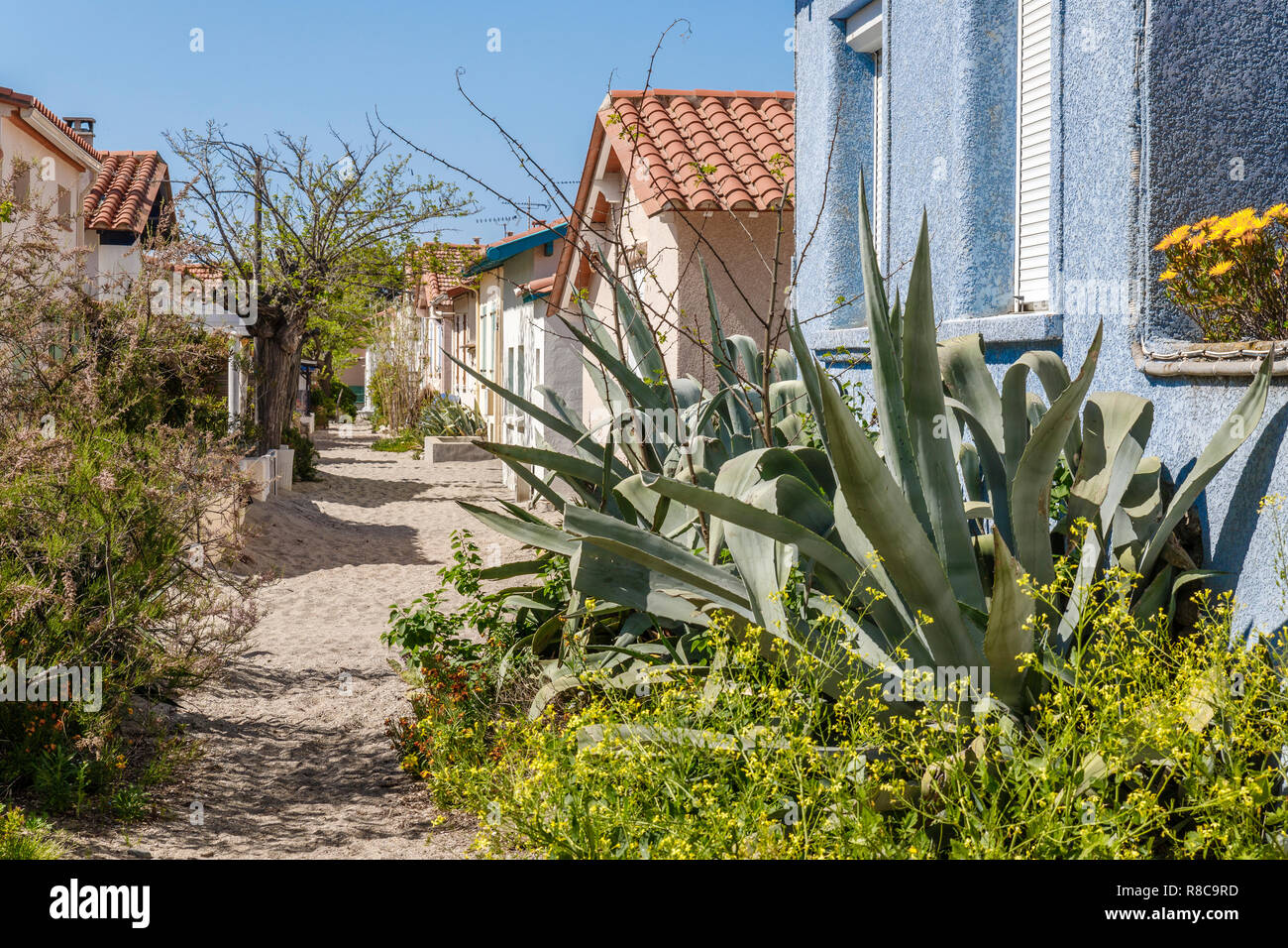 France, Pyrenees Orientales, la Côte Vermeille, Argeles sur Mer, hameau de la Racou // France, Pyrénées-Orientales (66), Argelès-sur-Mer, hameau du Raco Banque D'Images