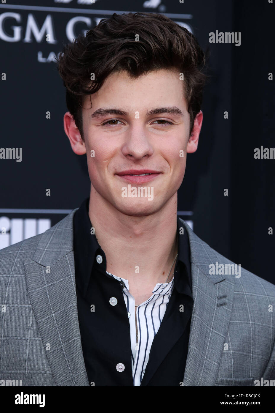LAS VEGAS, NV, USA - 20 MAI : Shawn Mendes au Billboard Music Awards 2018 qui a eu lieu au MGM Grand Garden Arena le 20 mai 2018 à Las Vegas, Nevada, United States. (Photo par Xavier Collin/Image Press Office) Banque D'Images