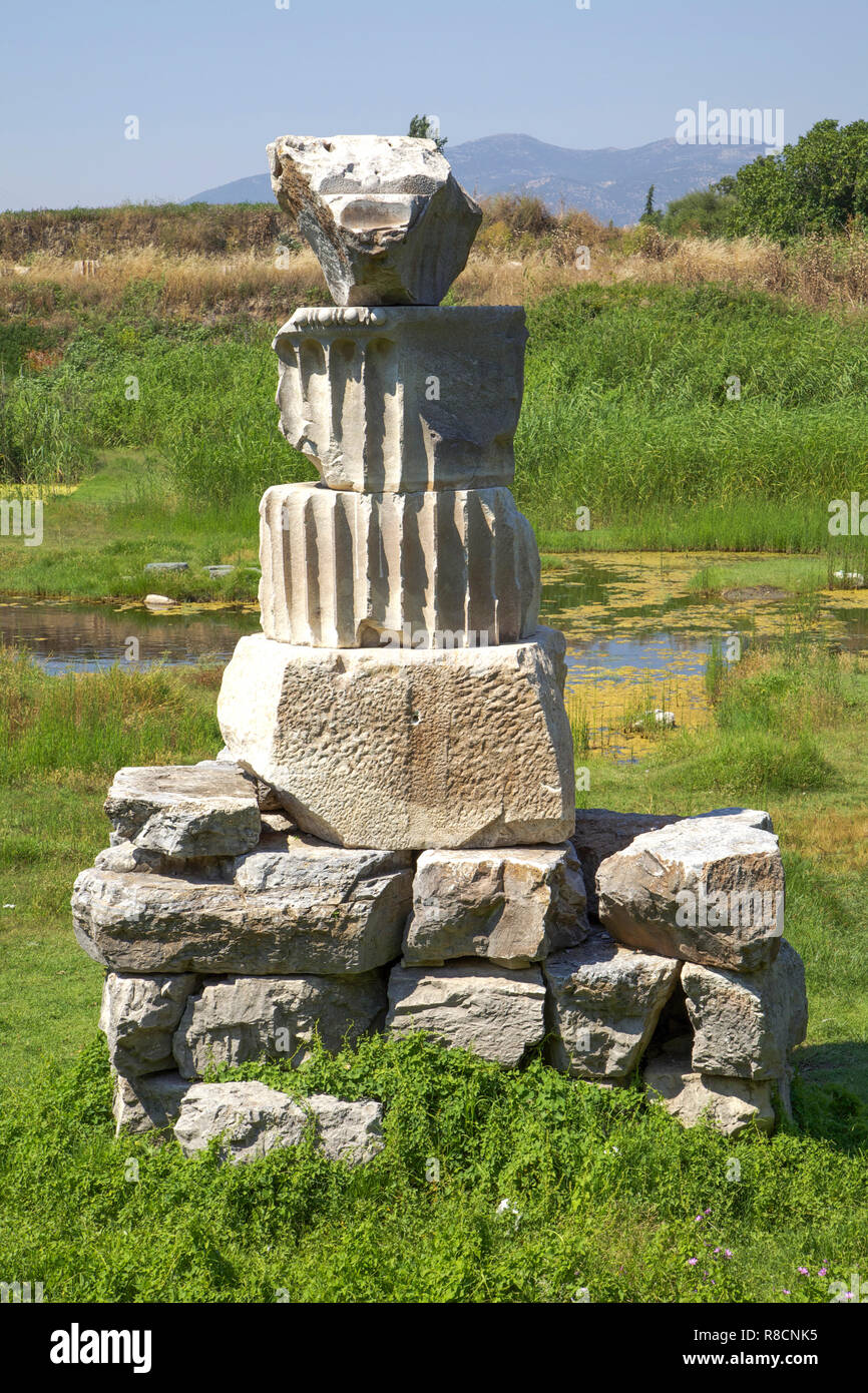 Ruines du temple d'Artemis d'Ephèse, une des sept merveilles du monde. Banque D'Images