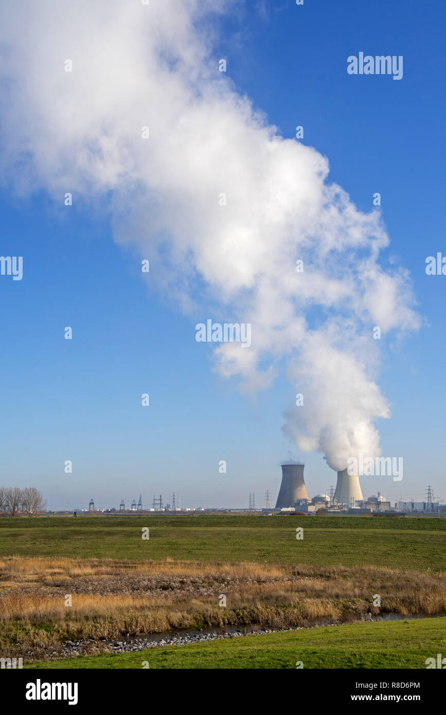 Tours de refroidissement de la centrale nucléaire de Doel / centrale nucléaire dans le port d'Anvers, Flandre orientale, Belgique Banque D'Images Tours de refroidissement de la centrale nucléaire de Doel / centrale nucléaire dans le port d'Anvers, Flandre orientale, Belgique Banque D'Images