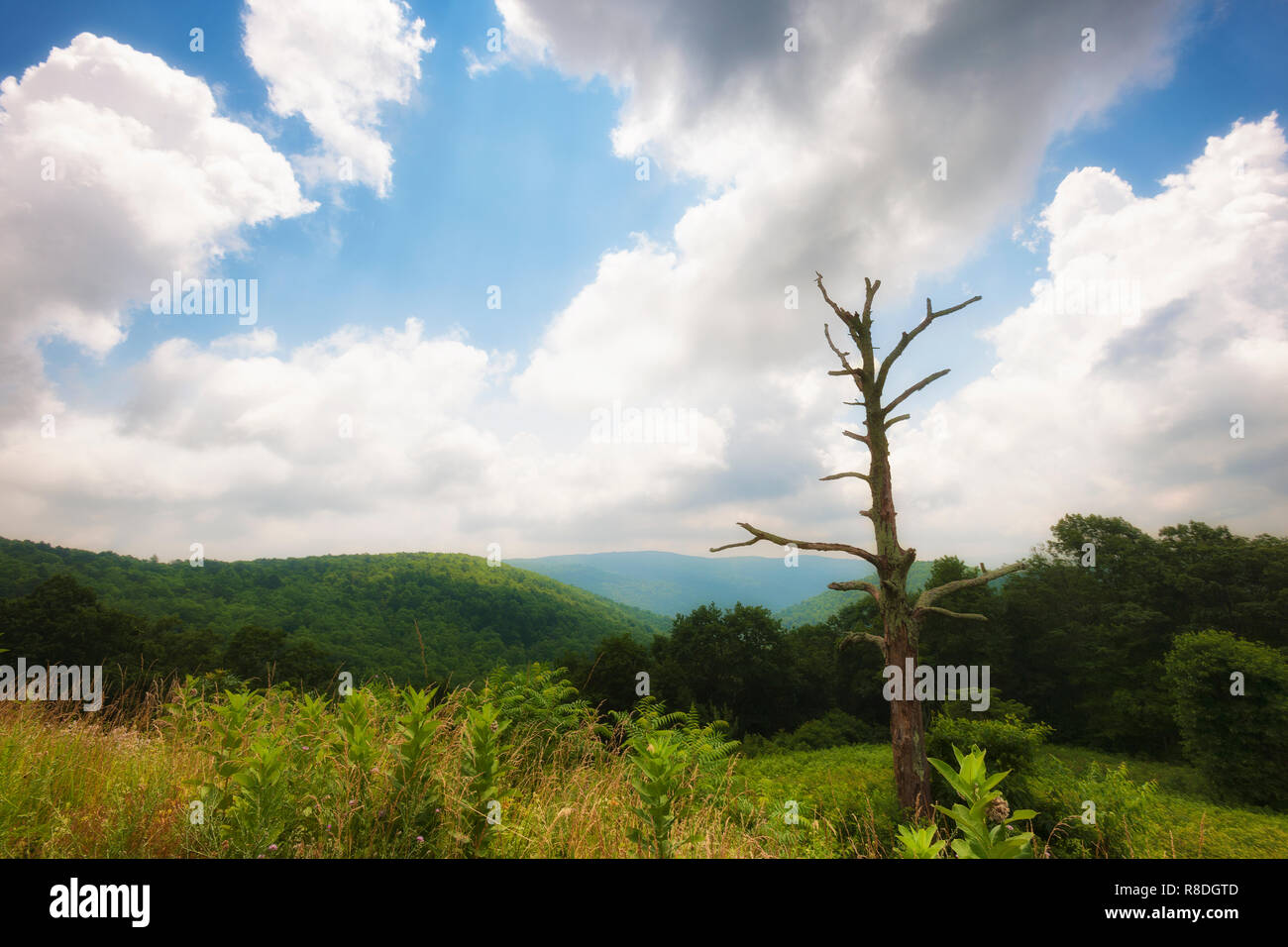 Le Parc National Shenandoah en Virginie s'étend le long de la Blue Ridge Mountains au sud-est des États-Unis. Banque D'Images