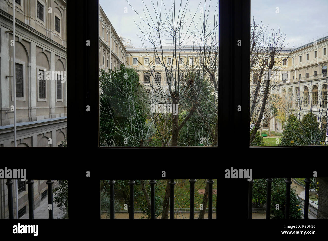 Jardins, Musée de la Reine Sofia - Museo Nacional Centro de Arte Reina Sofía, Madrid, Espagne Banque D'Images