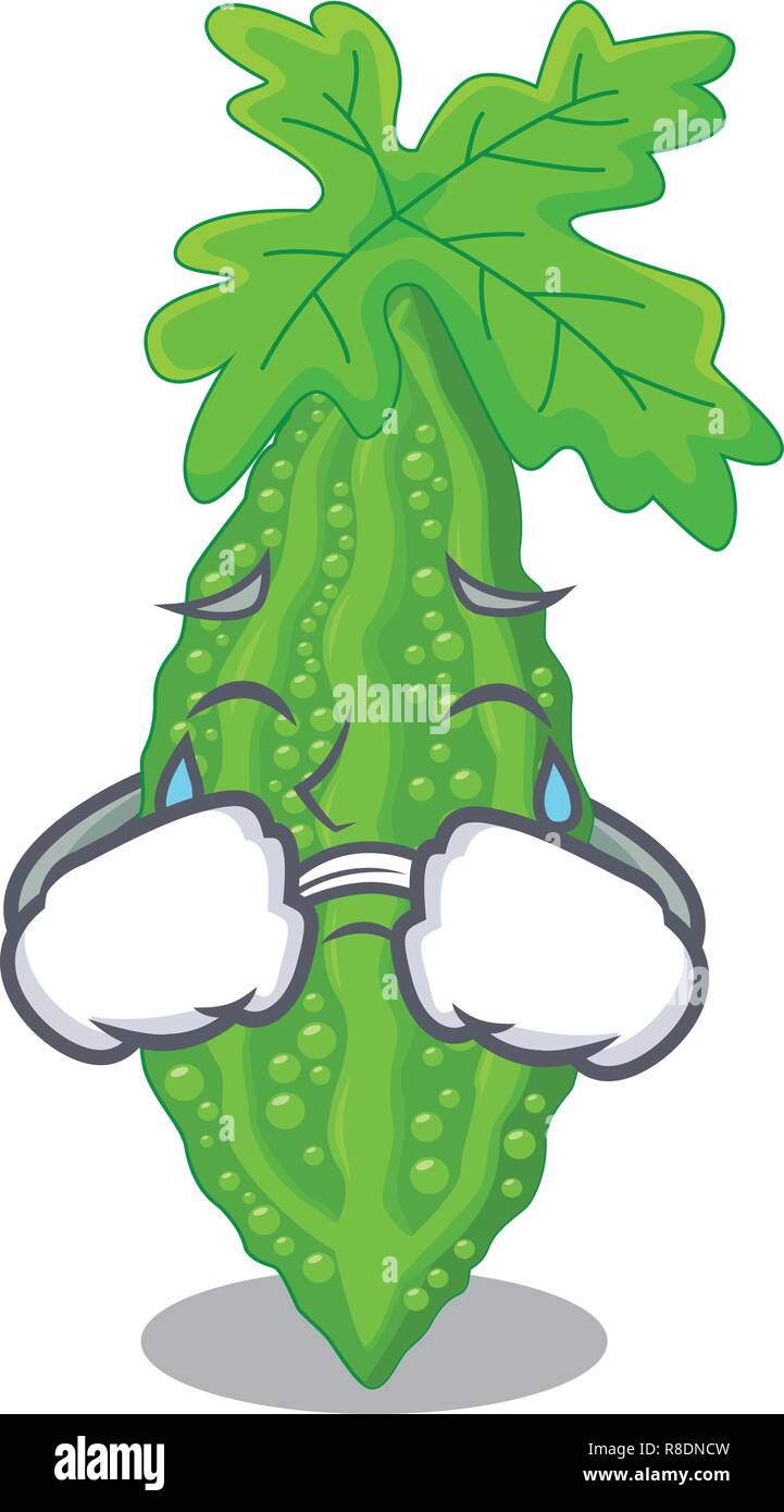 Pleurer le melon amer caractère sur les légumes produits frais Illustration de Vecteur
