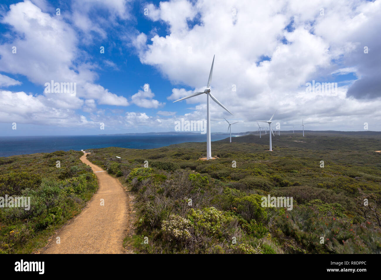 Ferme éolienne d'Albany, dans l'ouest de l'Australie Banque D'Images