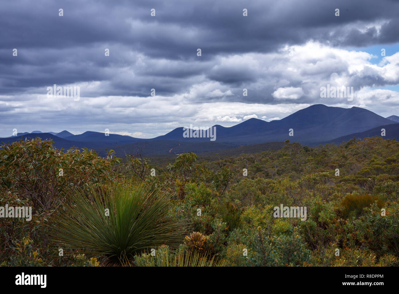 Parc national de Stirling, l'ouest de l'Australie Banque D'Images