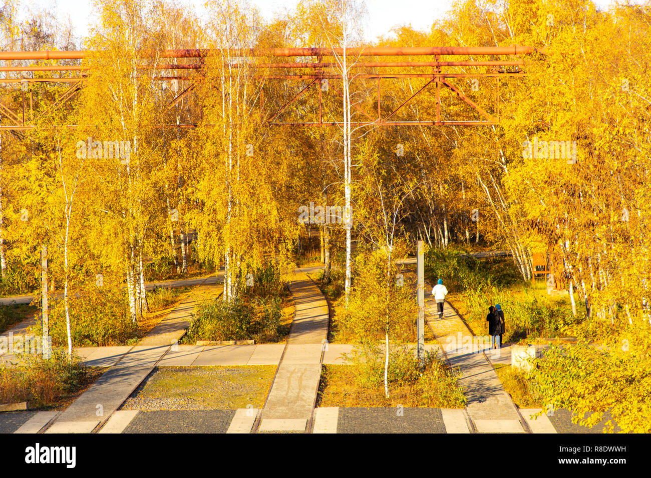 Le Parc de Zollverein, ancien suivi des systèmes, à la Zeche Zollverein à Essen, Banque D'Images