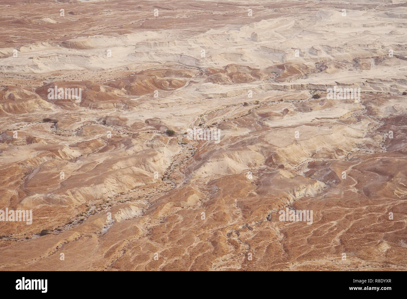 Vue de dessus de la forteresse de Massada au désert de Judée et la mer Morte. Le désert, terre d'Israël. Arrière-plan de canyon dans le désert. Désert dans lequel 4 Banque D'Images