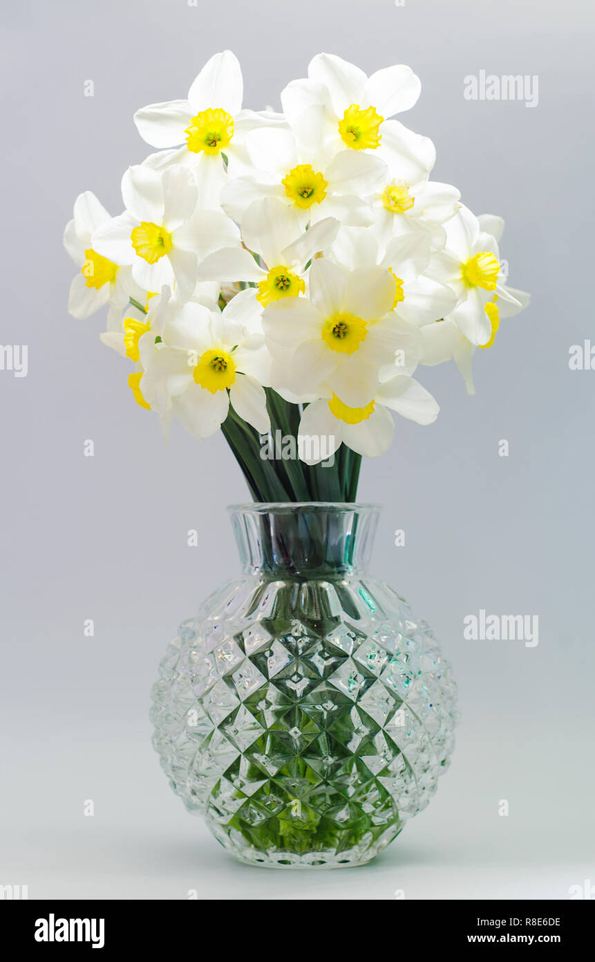 Bouquet de narcisse dans un vase Photo Stock - Alamy