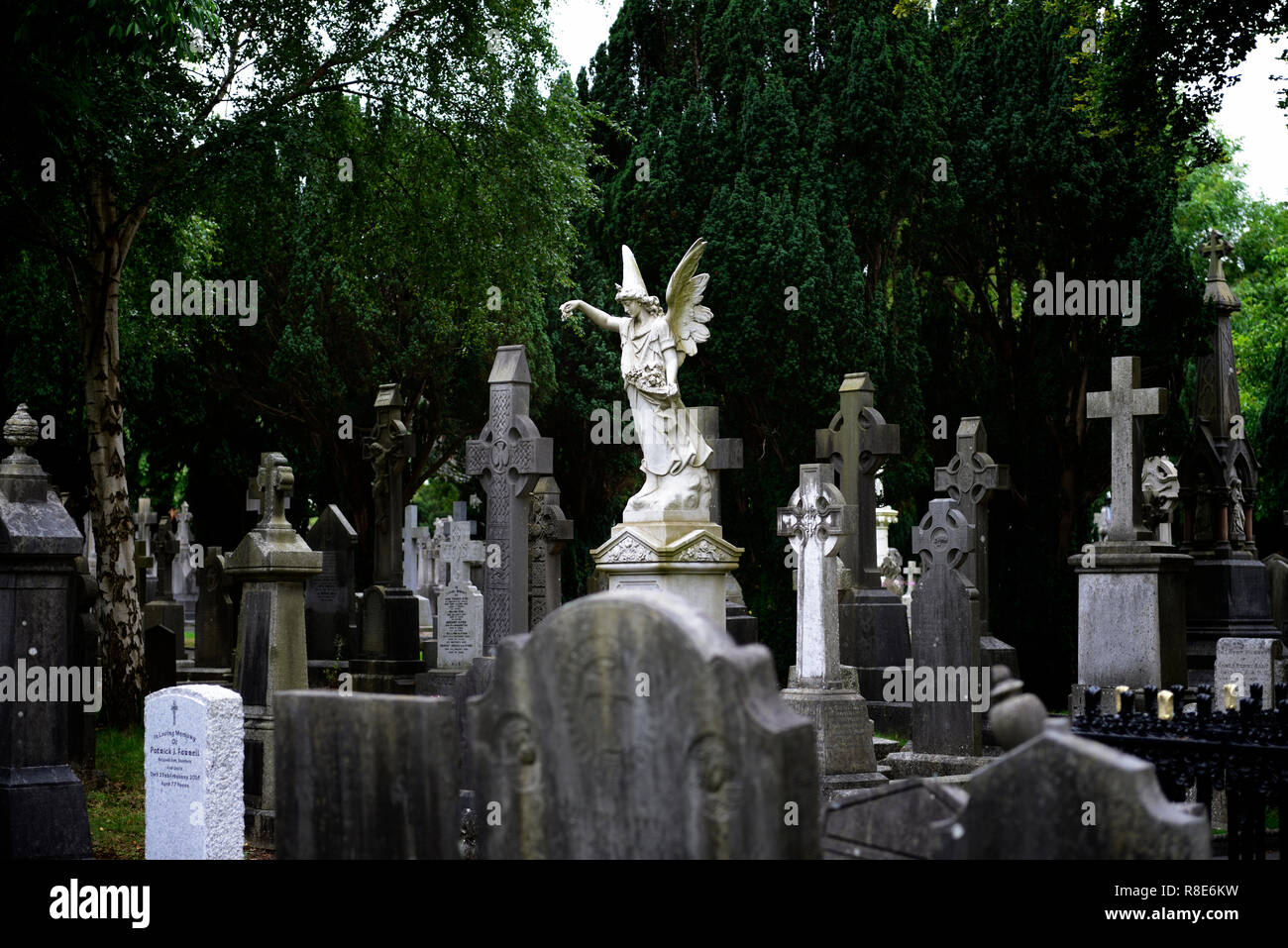 Cimetière Glasnevin, Dublin,ornés de pierres tombales sculptes,statue,ange,memorial tombstone,cimetière,Pierre tombale,cimetières,tombe tombes,mémoire,paix,memorial,,p Banque D'Images