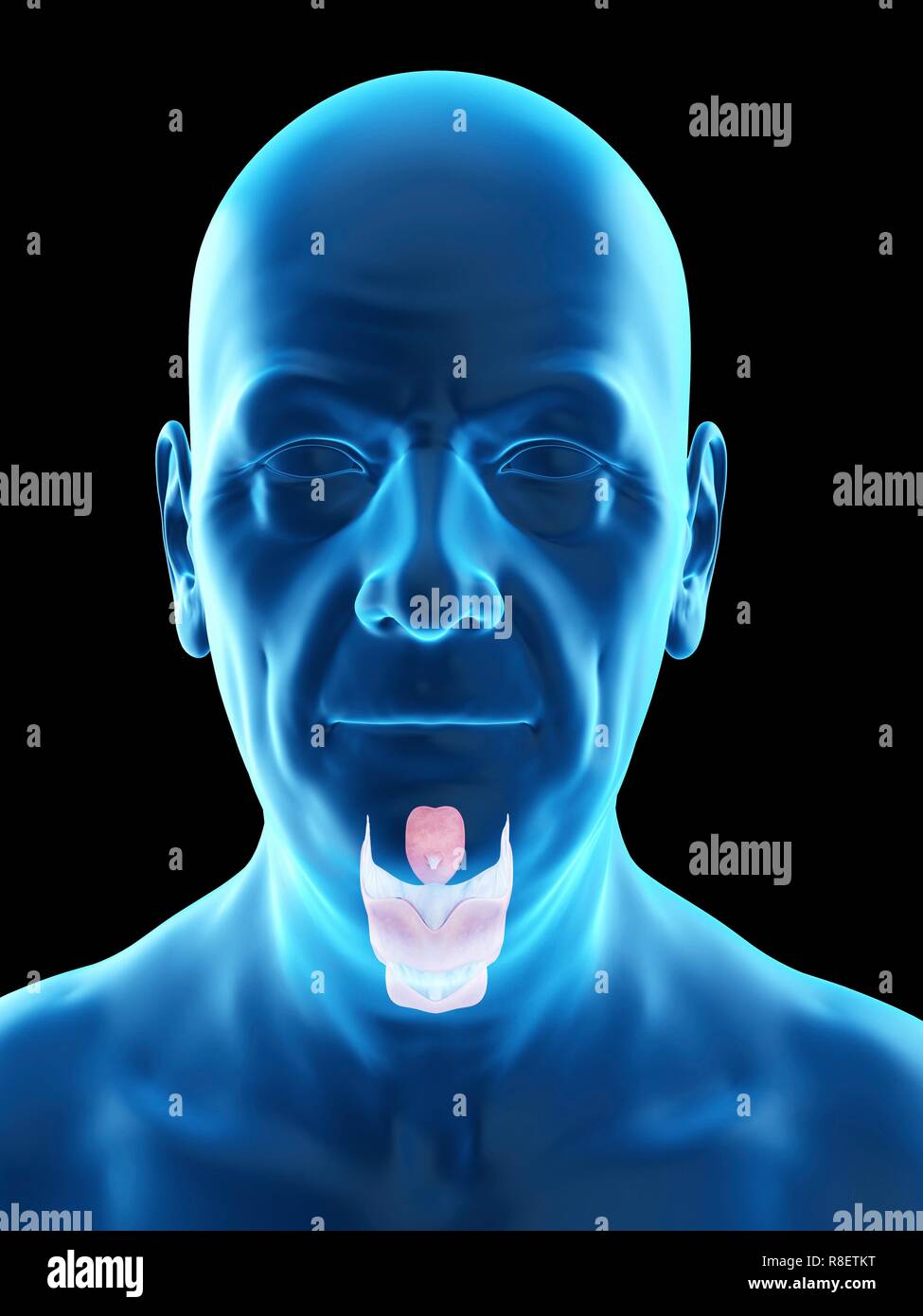 Illustration d'un vieil homme, du larynx. Banque D'Images