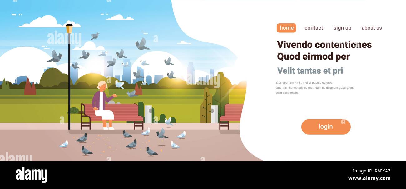 Troupeau de l'alimentation senior woman sitting pigeon urbain banc en bois du parc de la ville cityscape background copie espace horizontal télévision Illustration de Vecteur