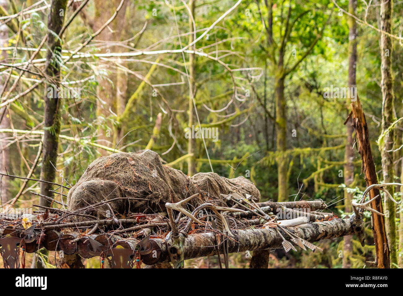 Faux corps enveloppés dans des décorations sur les branches du carénage Banque D'Images