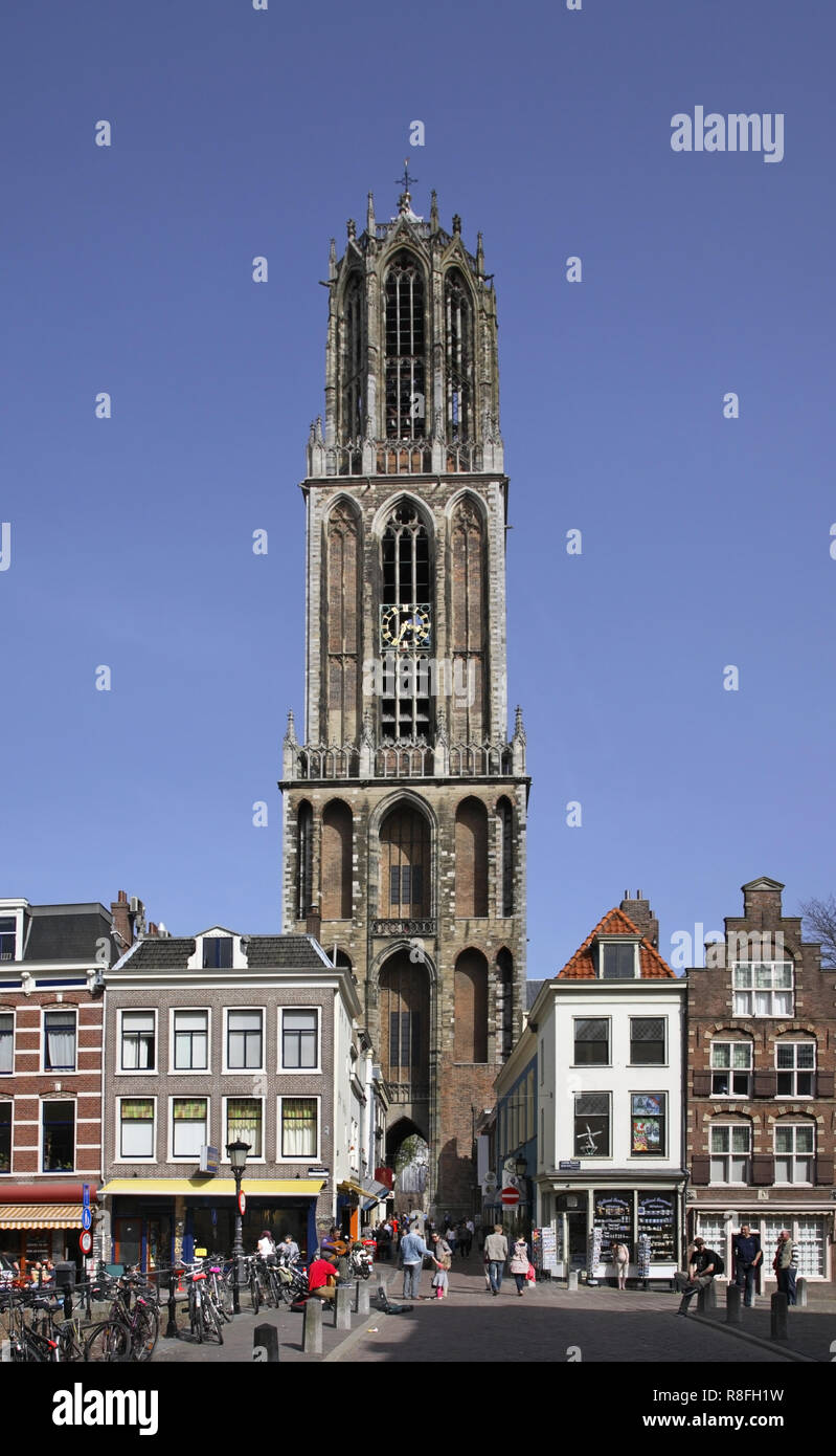 Cathédrale de Saint Martin à Utrecht. Pays-bas Banque D'Images
