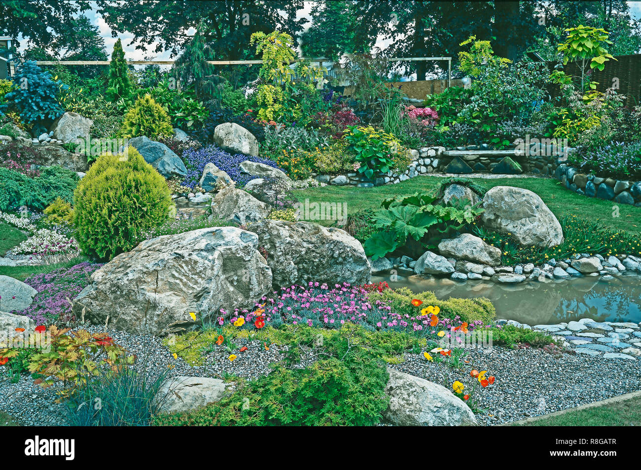 Rocaille et jardin d'eau avec un mélange de plantation de fleurs alpines, plantes et arbustes. Banque D'Images