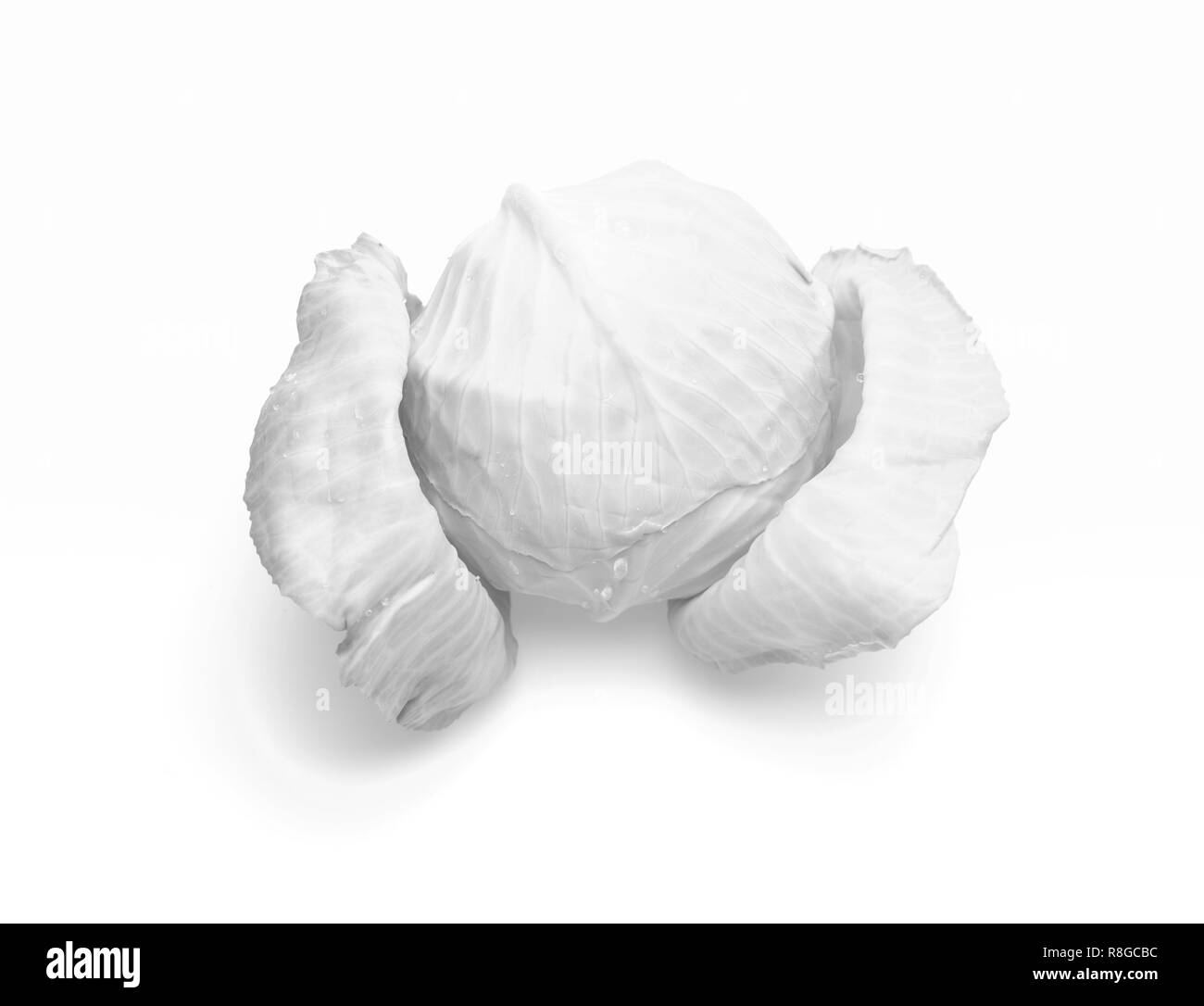 Les légumes des légumes, Close up. Chou vert isolé sur fond blanc. Tête de chou blanc avec des feuilles et gouttes d'eau. Alimentation saine et la nutrition végétalienne concept. Banque D'Images