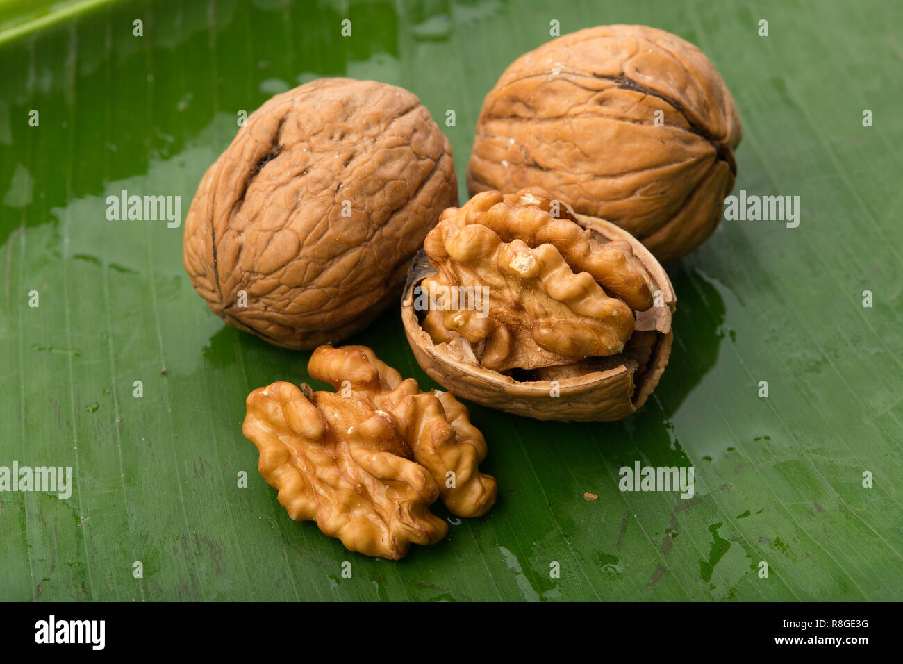 L'alimentation : Libre de noyer isolé sur fond vert feuille de bananier tourné en studio Banque D'Images