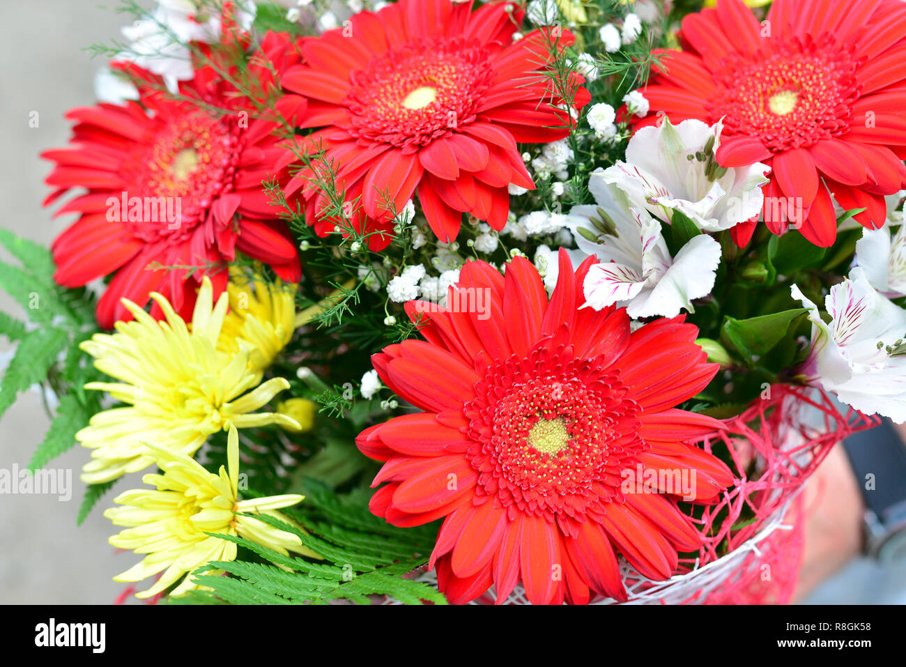 Bouquet de chrysanthèmes jaunes, gerbera rouge Banque D'Images