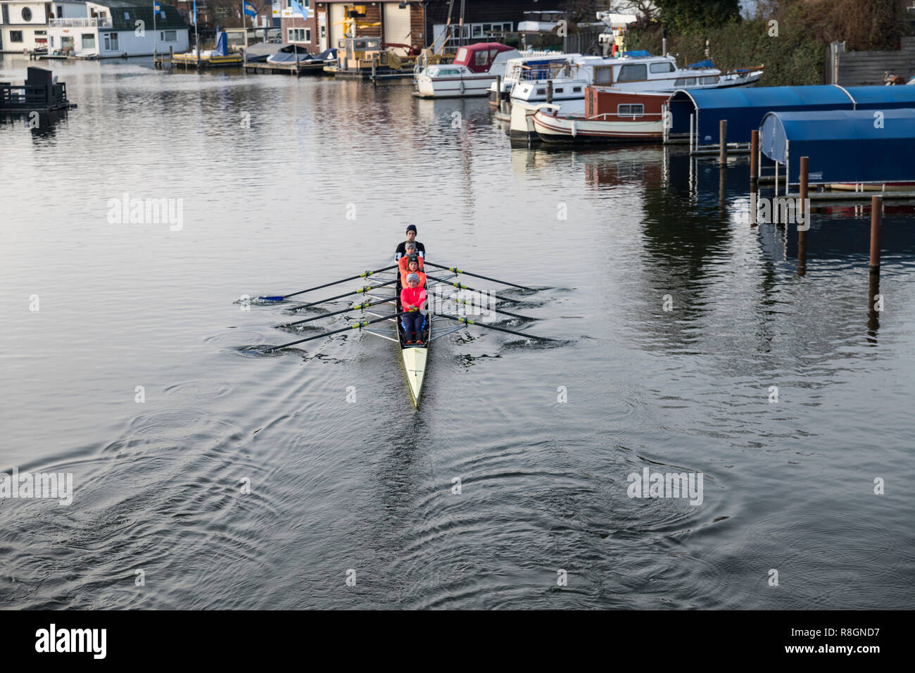 Rotterdam,Hollande,15-déc-2018:quatre femme l'aviron dans un bateau sur la rotte à Rotterdam aux Pays-Bas, la rotte est une rivière de Rotterdam, où les équipes d'Aviron Aviron le train sports Banque D'Images