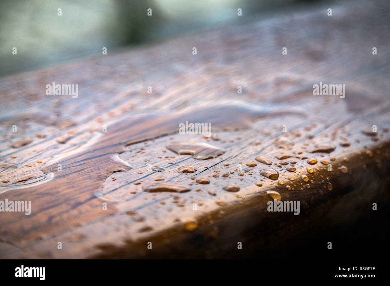 La pluie sur bois Banque D'Images