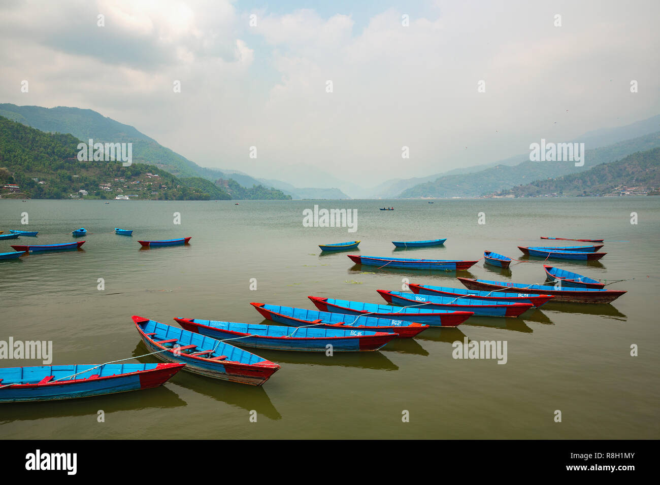 Bateaux canoë colorés flottant dans le Lac Phewa à Pokhara, Népal Banque D'Images