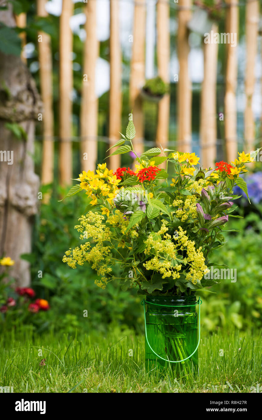Bouquet de fleurs sauvages dans une prairie Banque D'Images