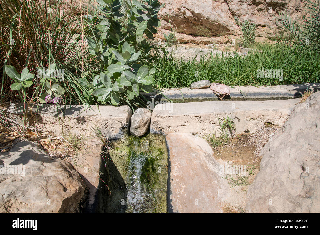 Système d'irrigation pour les plantations dans le canyon de Wadi Shab, Tiwi, Sultanat d'Oman, Moyen-Orient, Banque D'Images