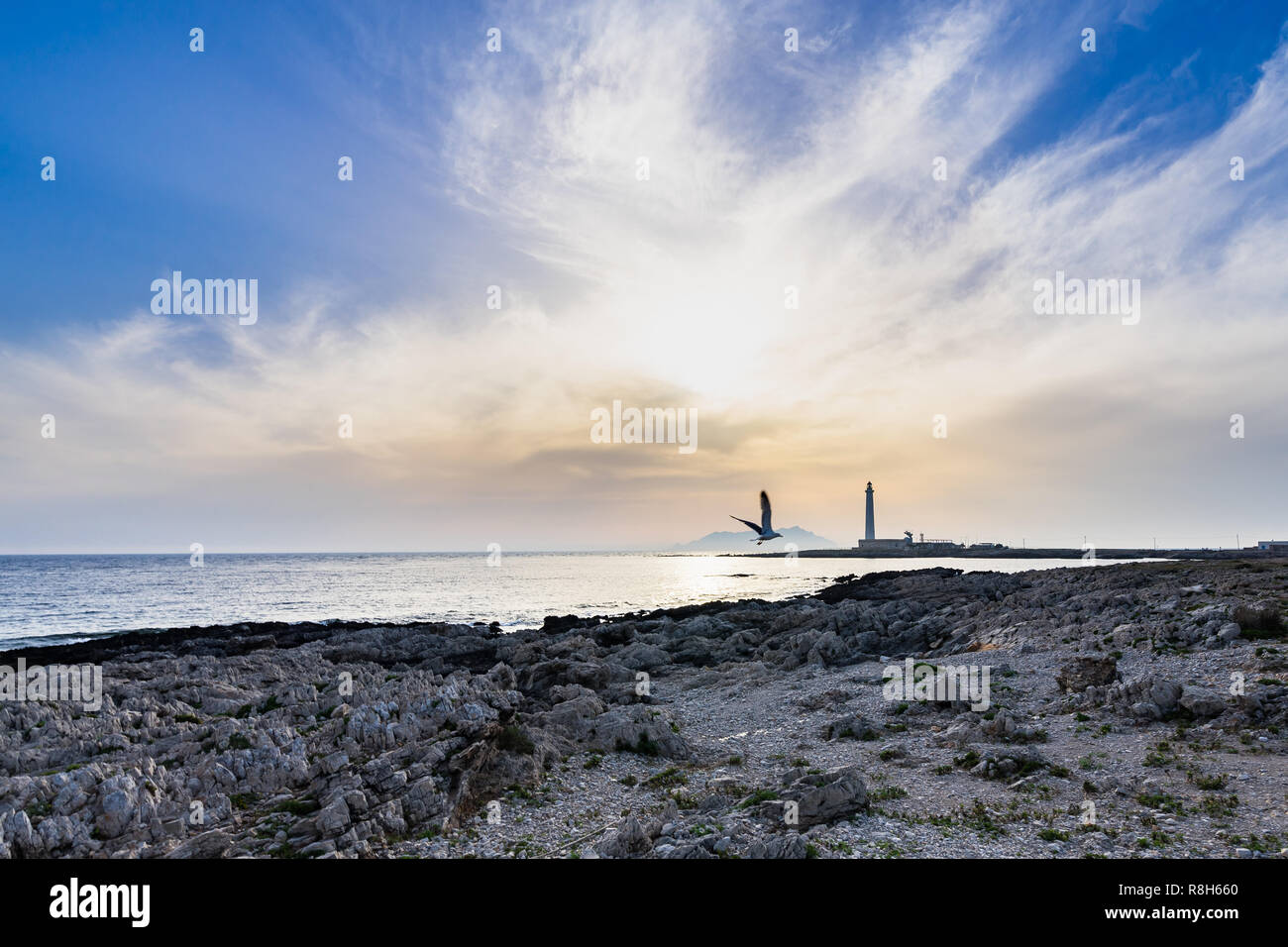 Scenic Favignana seascape avec un vol d'une mouette et phare de Punta Sottile, Îles Égades, Sicile, Italie Banque D'Images