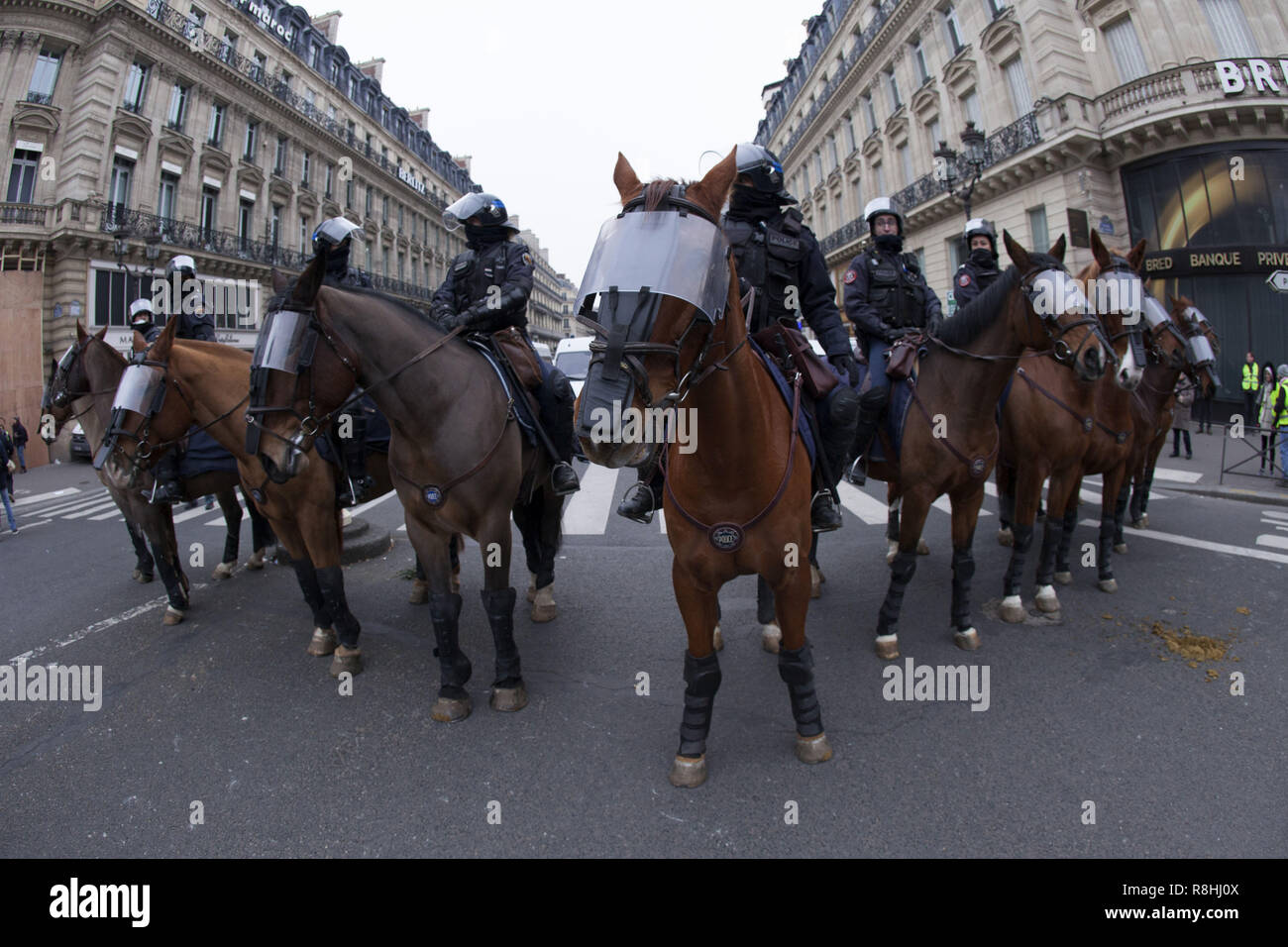 Paris France Le 15 Décembre 2018 Cinquième Samedi De