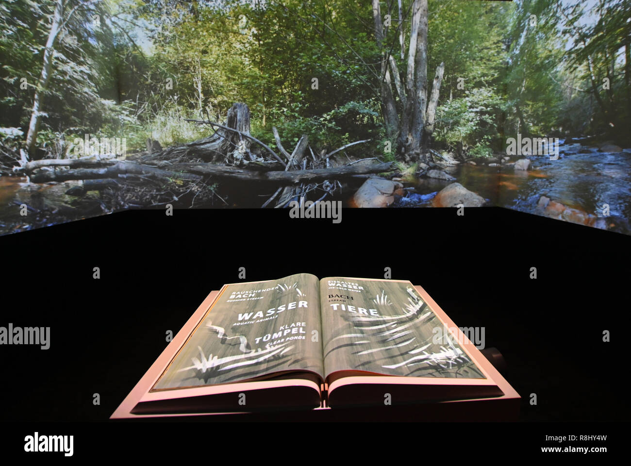 Deuselbach, Allemagne. 06 Dec, 2018. Un livre, qui a pratiquement transfère les données vers le canevas, réside dans un cube de la première exposition du parc national dans le futur parc national de Erbeskopf. Sous la devise 'Bienvenue dans la jungle de demain', animations et expositions de l'Organisation mondiale du Parc National vous invite à toucher, de participer et d'essayer des choses sur une superficie de 300 mètres carrés. Credit : Harald Tittel/dpa/Alamy Live News Banque D'Images