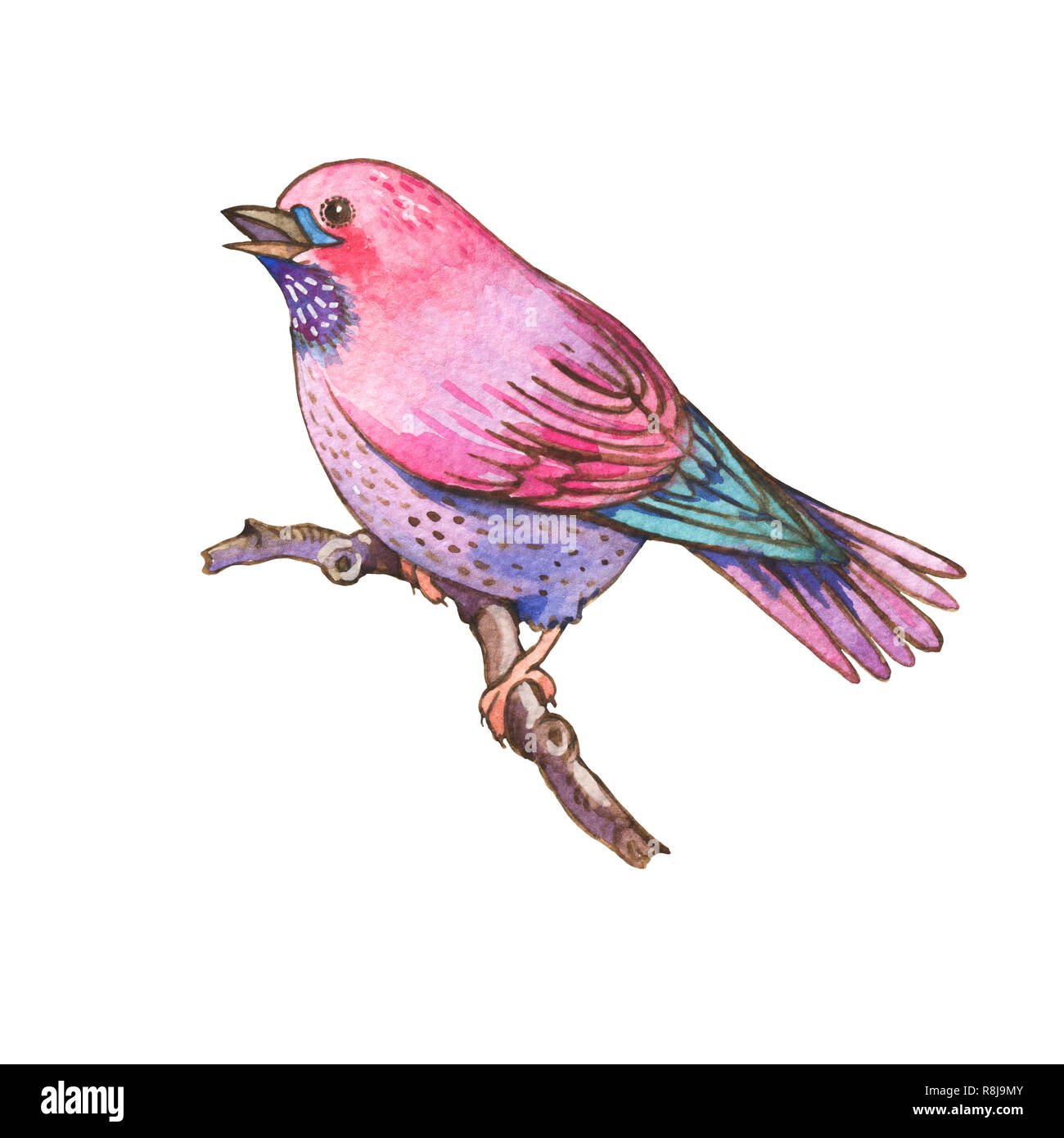 Aquarelles colorées isolé sur fond blanc d'oiseaux, des oiseaux à l'aquarelle, illustration, mignon collection illustration Banque D'Images