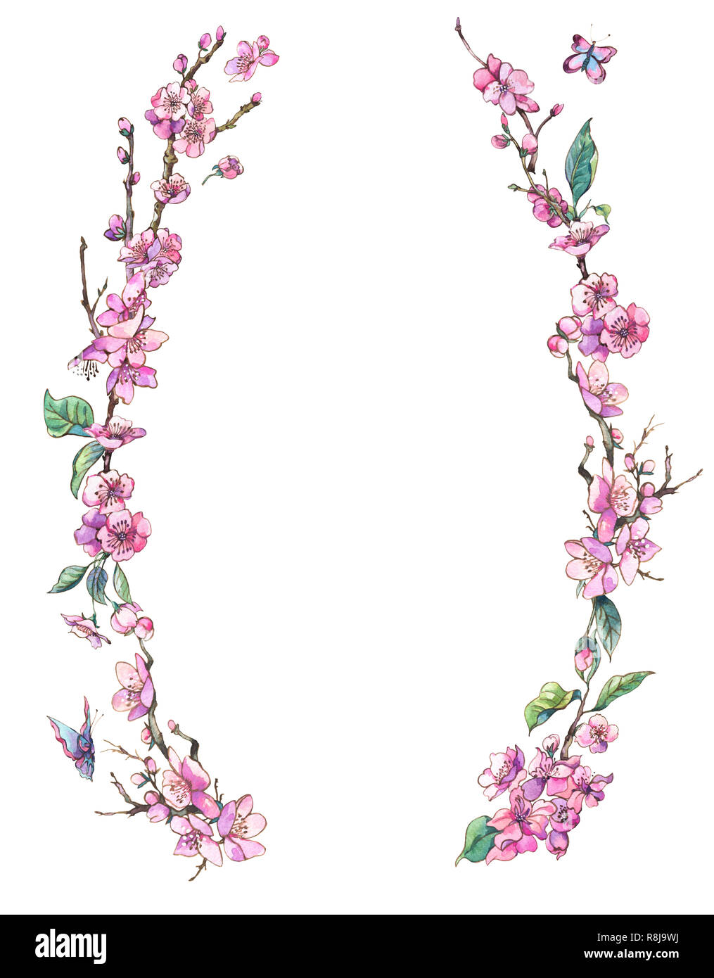 Printemps aquarelle carte de vœux, couronne de fleurs rose vintage avec branches en fleurs de cerisier sakura, pêche, poire, pomme arbres et fleurs, papillons Banque D'Images
