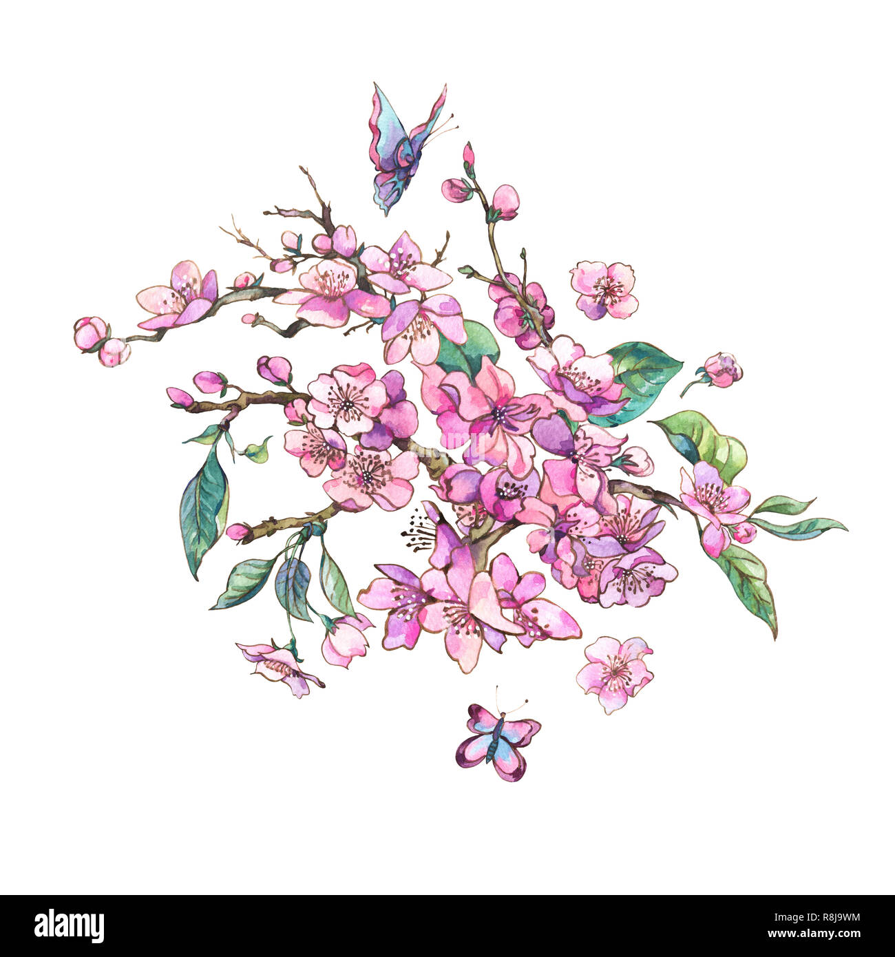 Printemps aquarelle carte de vœux, vintage bouquet floral avec branches en fleurs de cerisier rose pêche, poire, sakura, pommiers et de papillons, de fleurs Banque D'Images