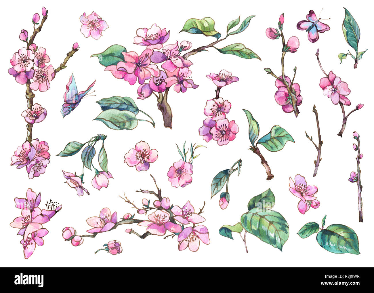 Printemps aquarelle ensemble d'éléments floraux vintage cherry de branches en fleurs pêche, poire, sakura, pommiers et papillons, fleurs botaniques isolés Banque D'Images