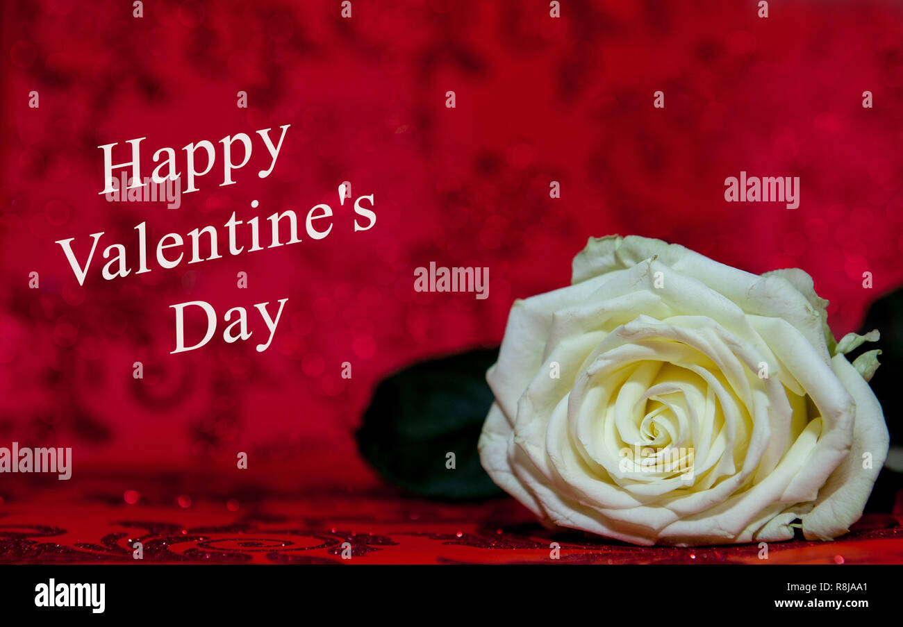Rose blanche avec un trou pour le jour de la saint valentin sur fond rouge  Photo Stock - Alamy